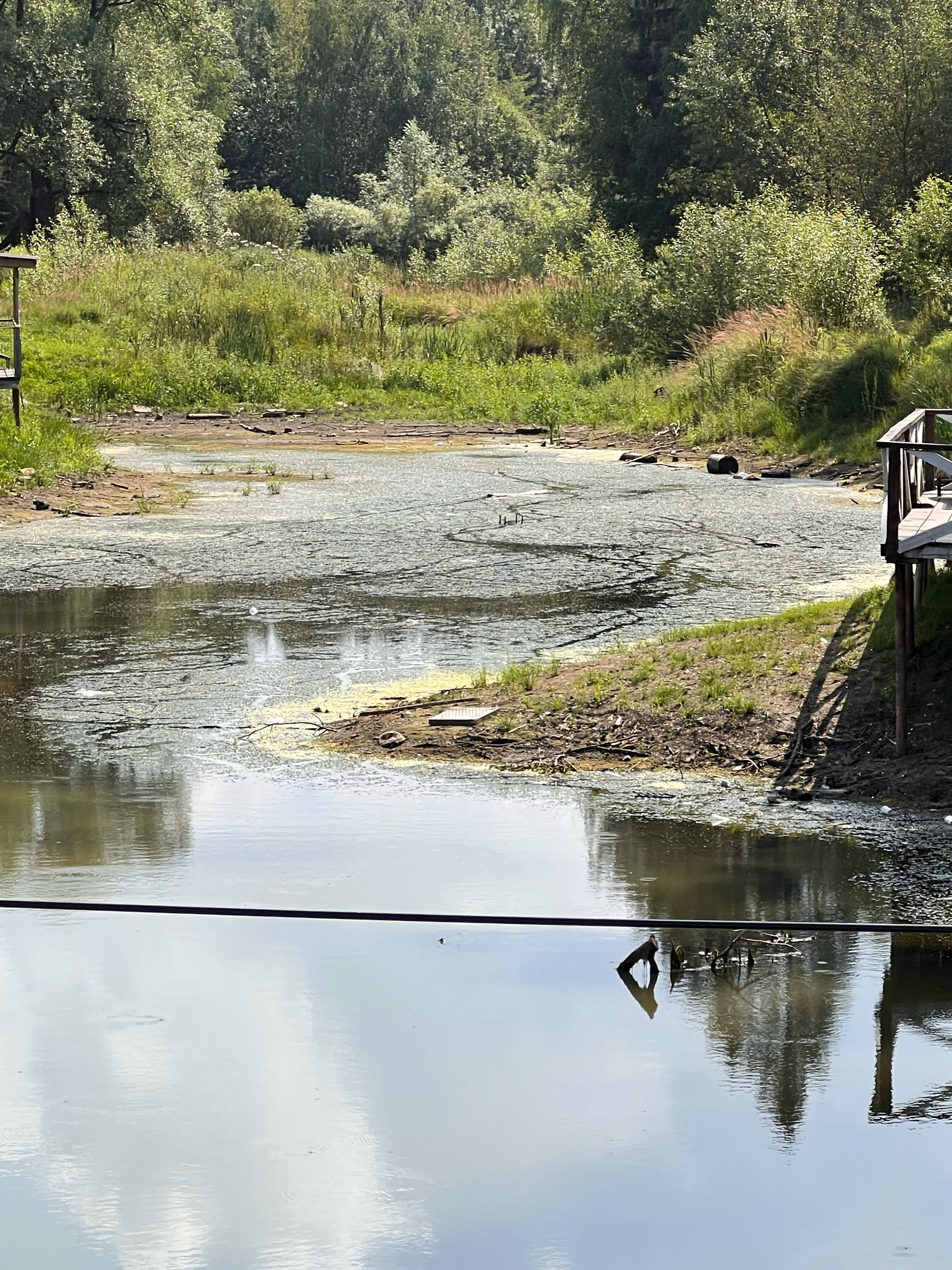 Фото Дрожжино парк