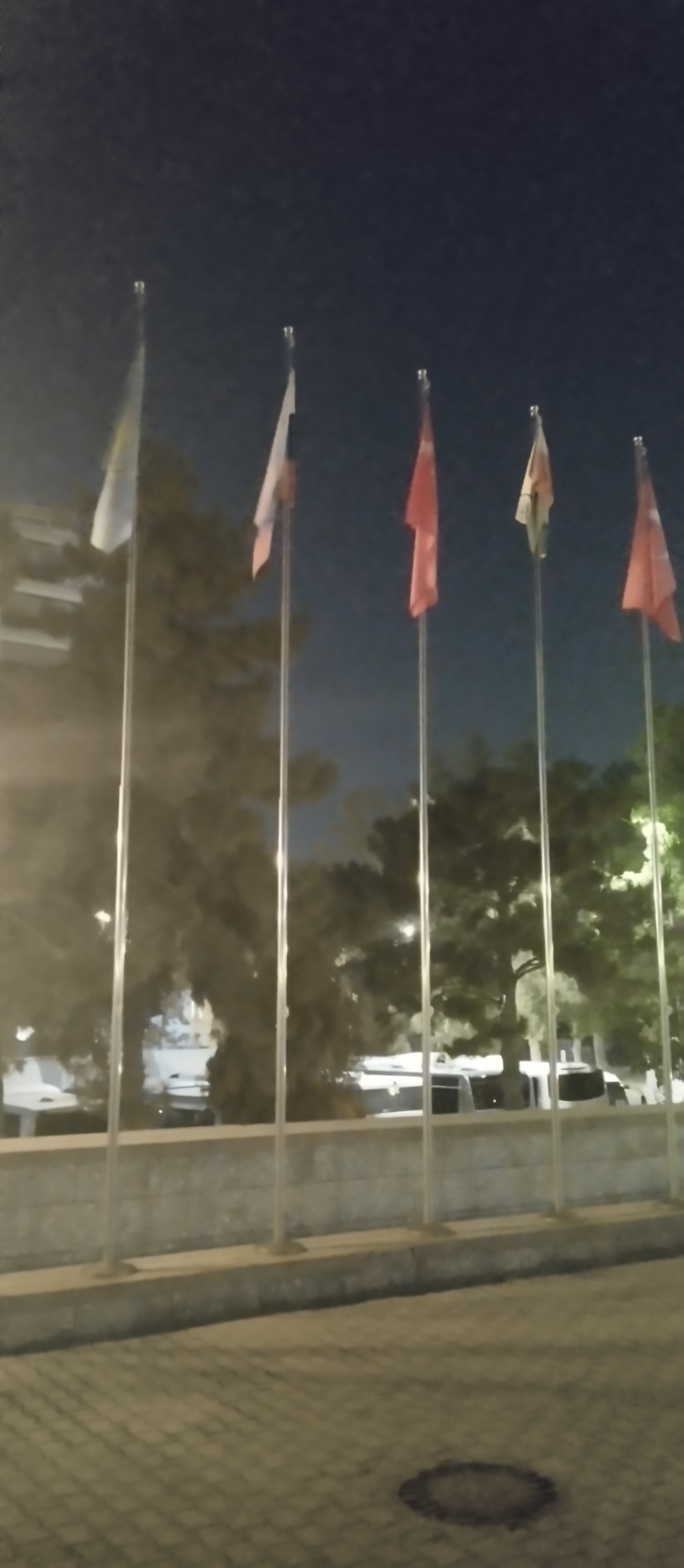 Фото Shodlik Palace