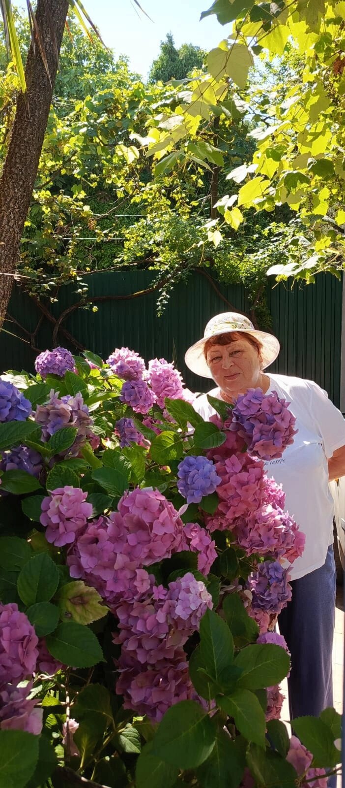 Фото Бестужеский дворик