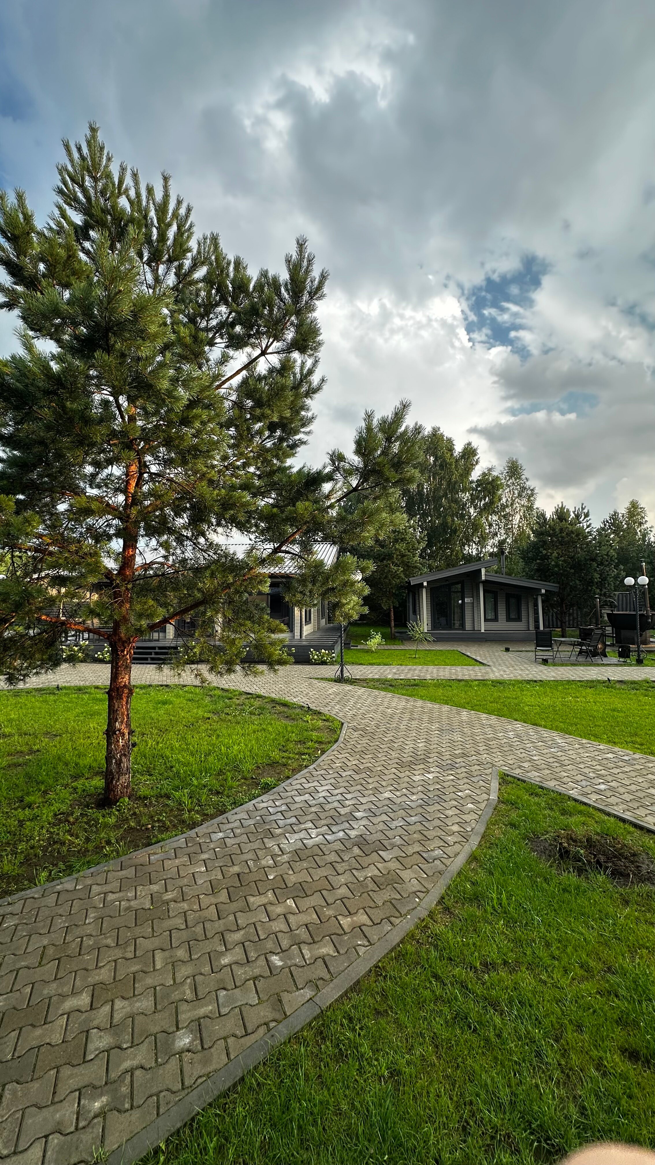 Фото Лесная симфония