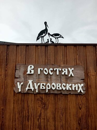 В гостях у Дубровских фото 1