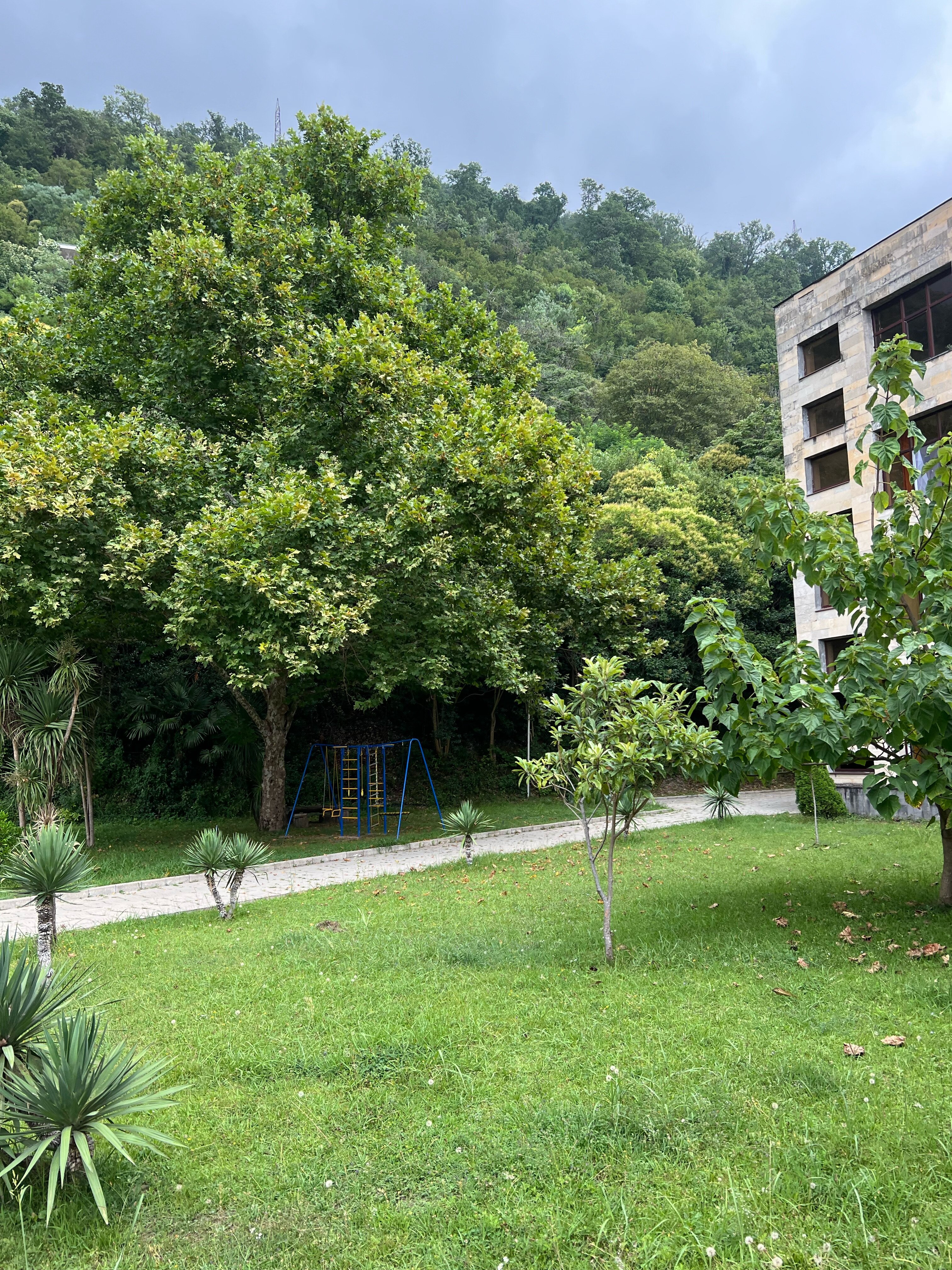 Фото Континент Гагра