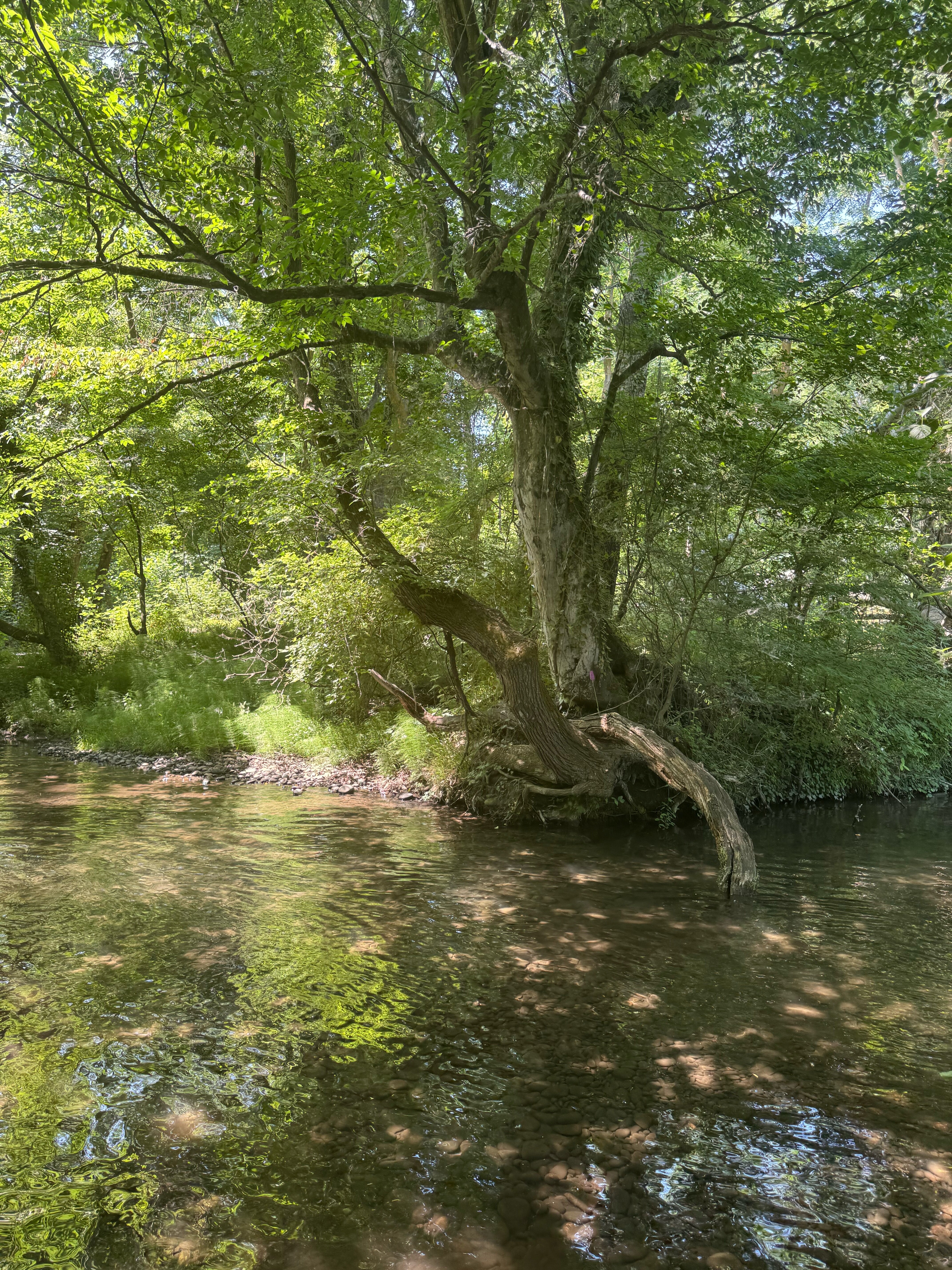 Фото Самурский рай