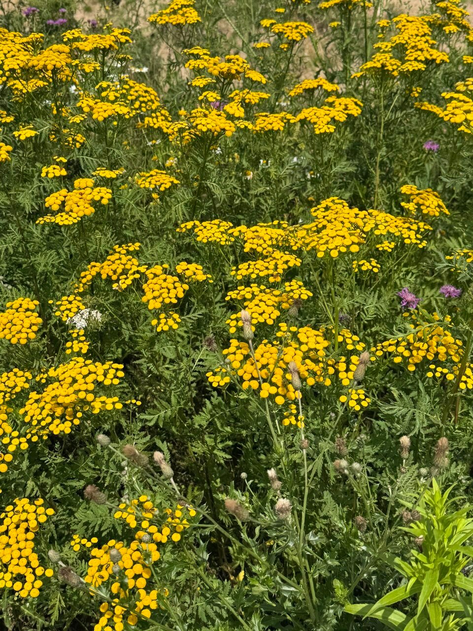 Фото Точка 177