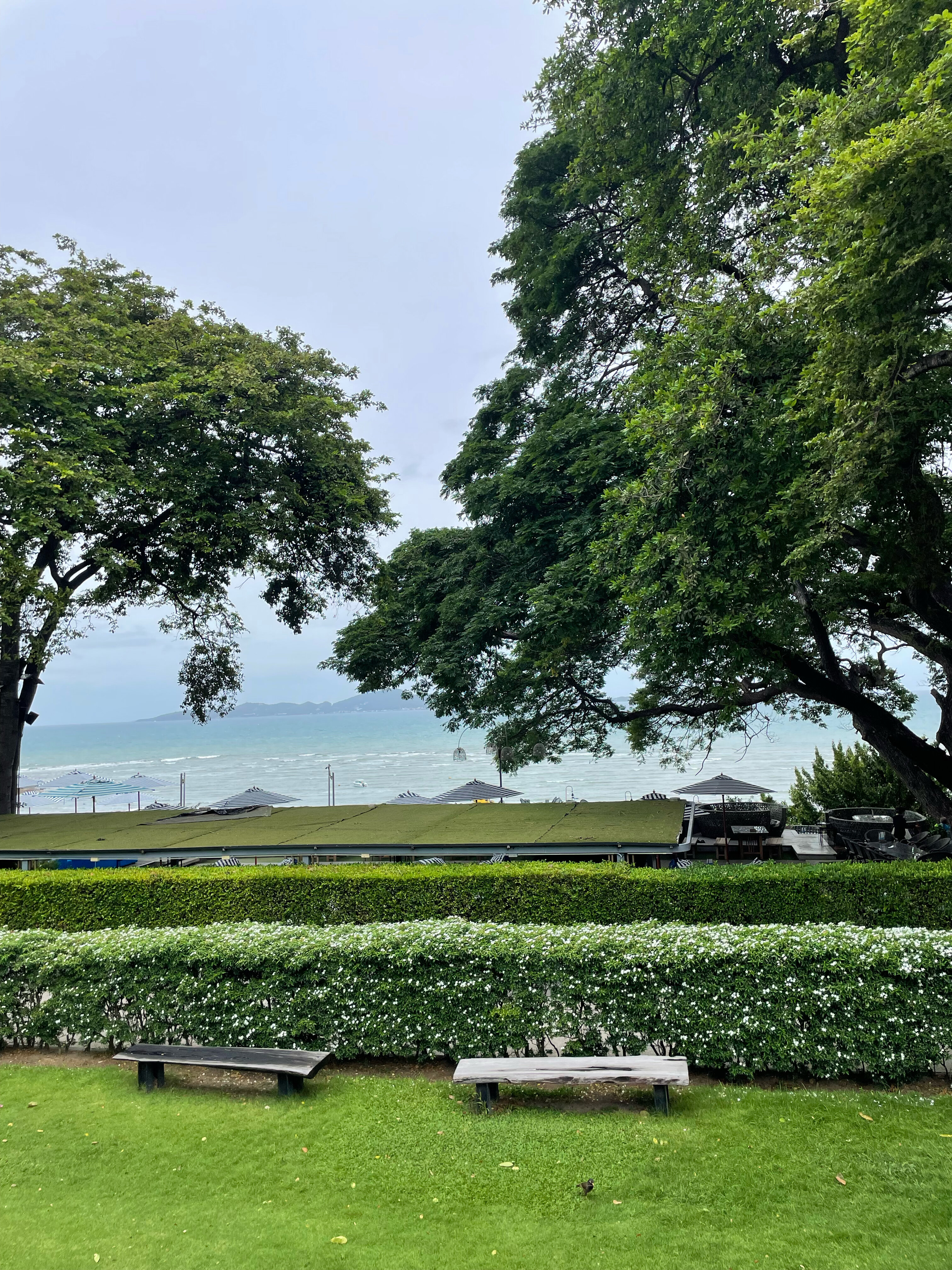 Фото Cosy Beach Hotel