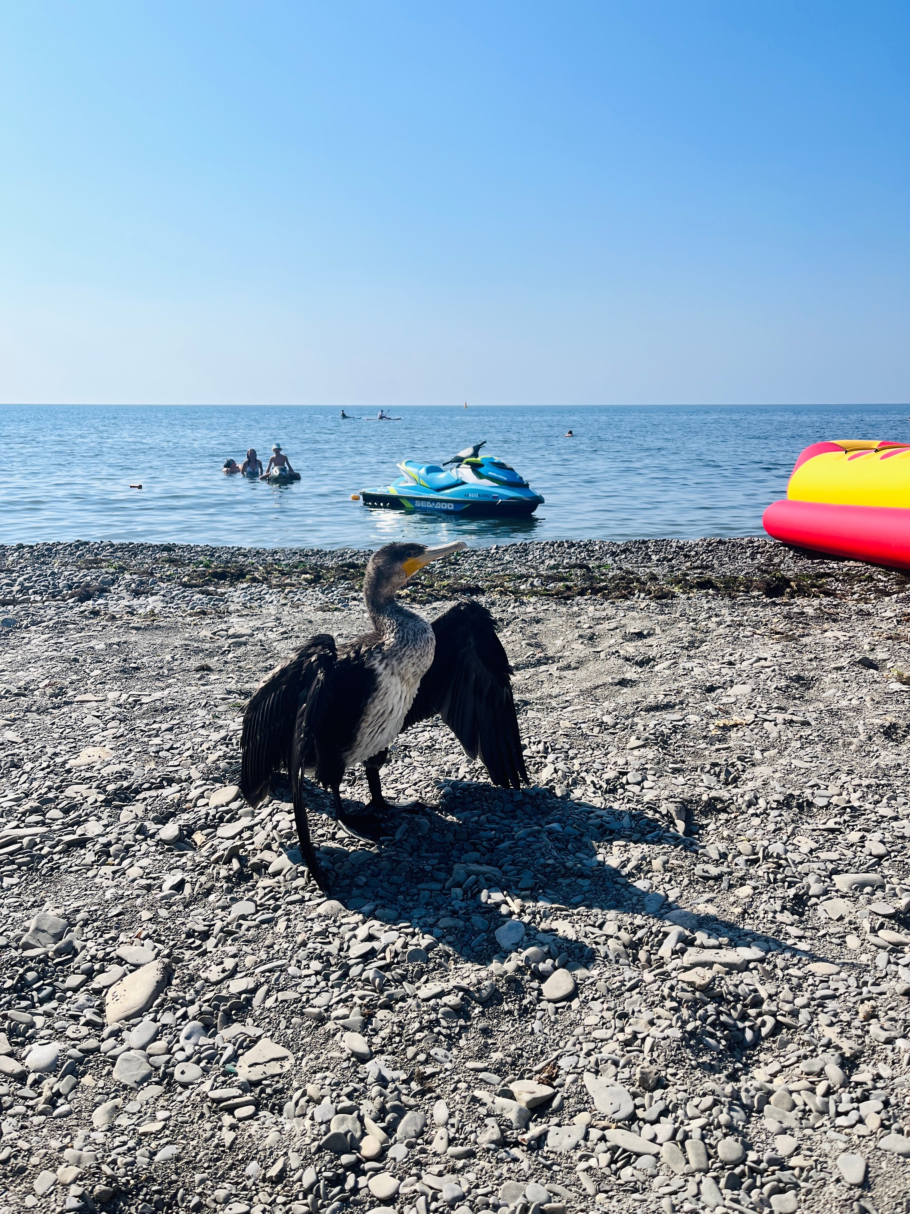 Фото Феодоро