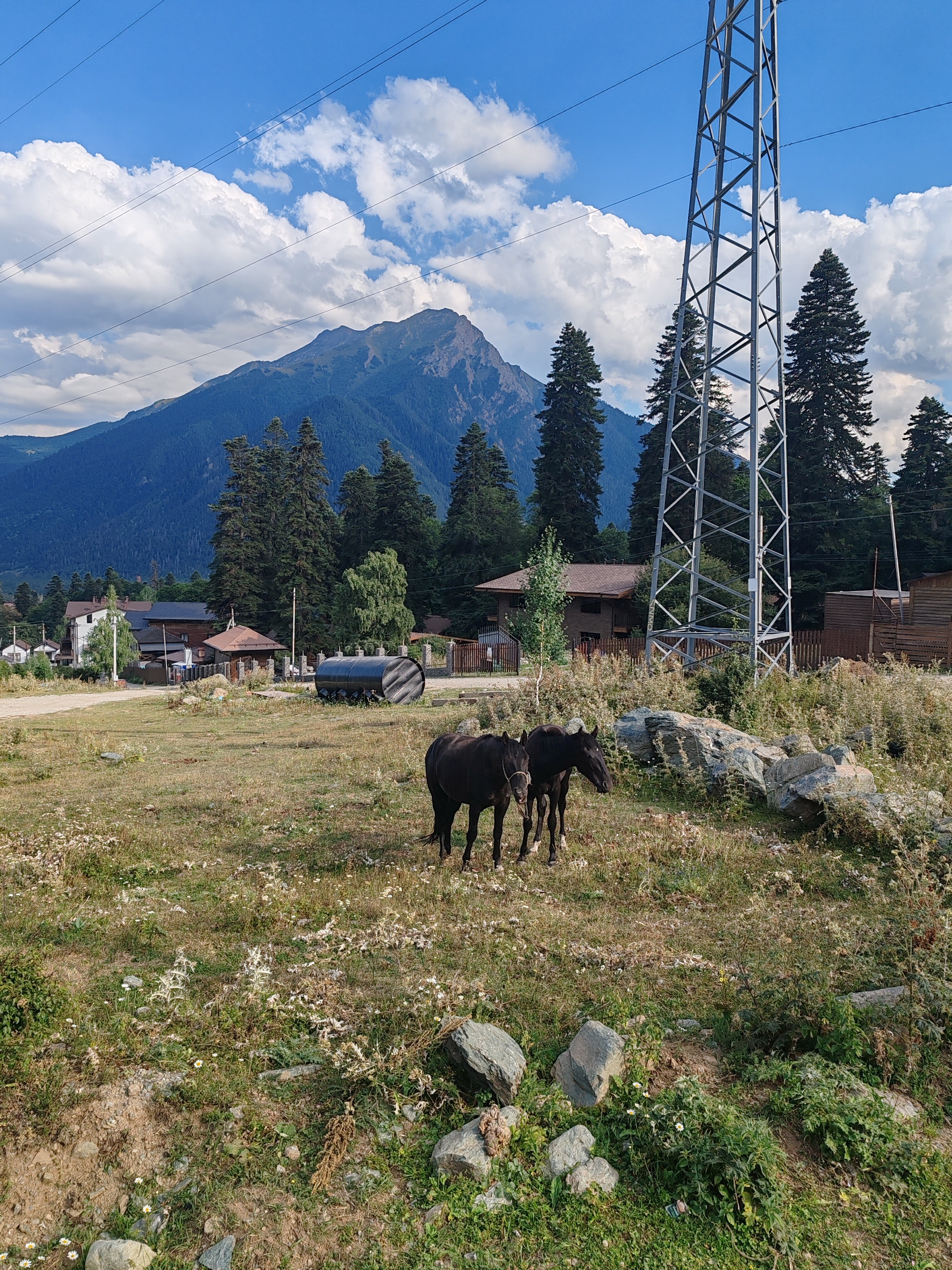 Фото Горный родник