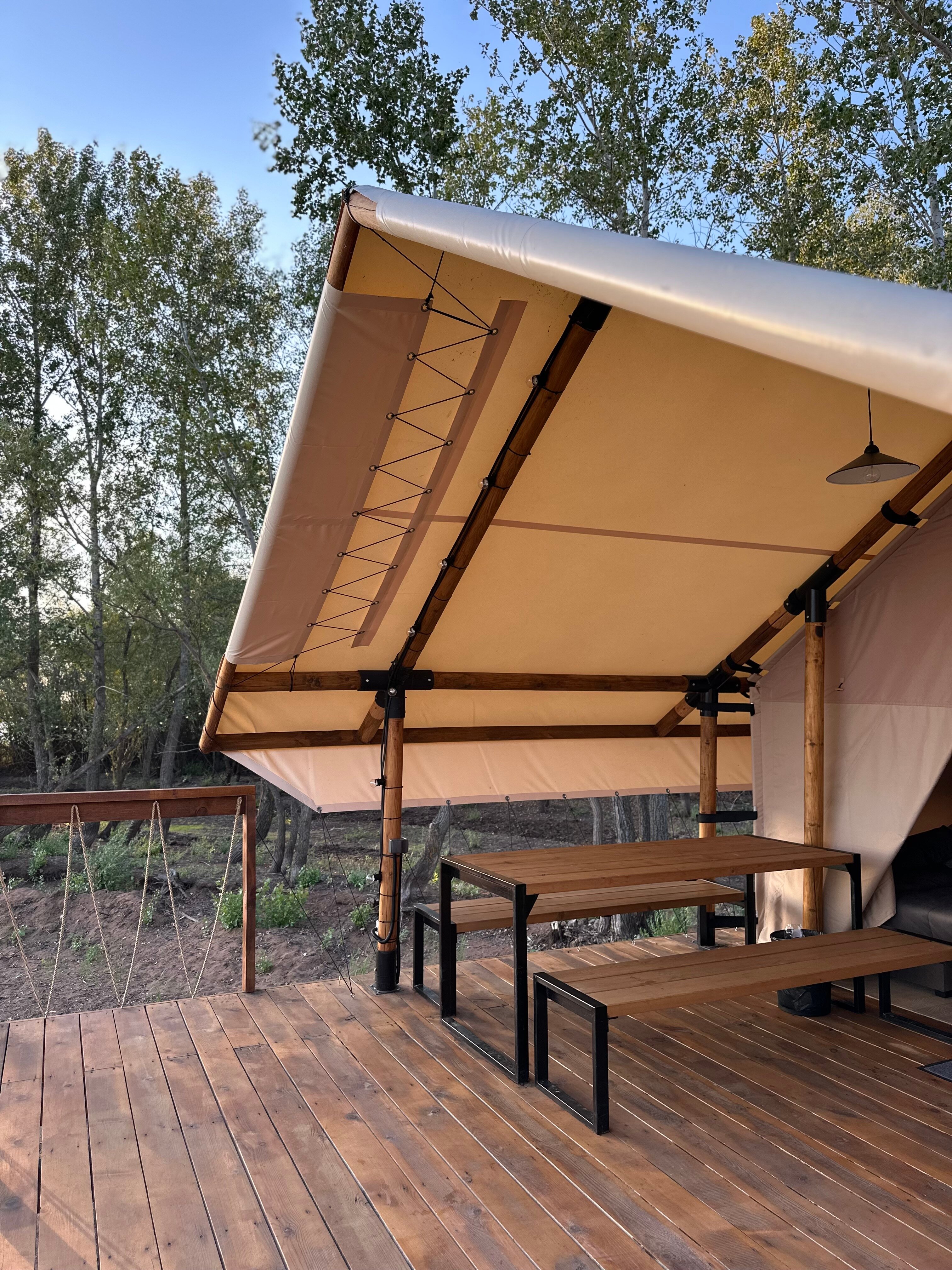 Фото Лаванда