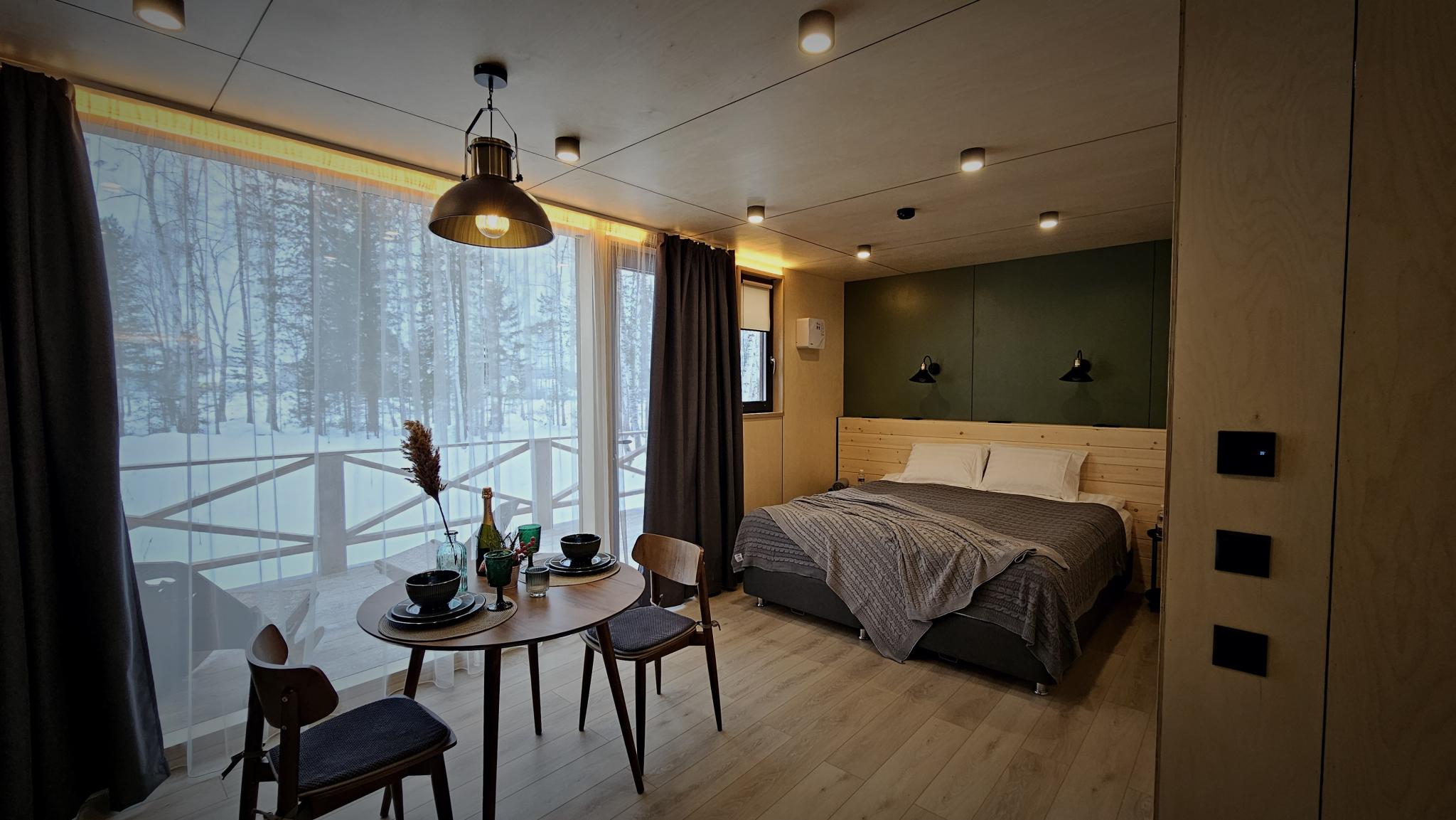 Фото Снежные Гуси