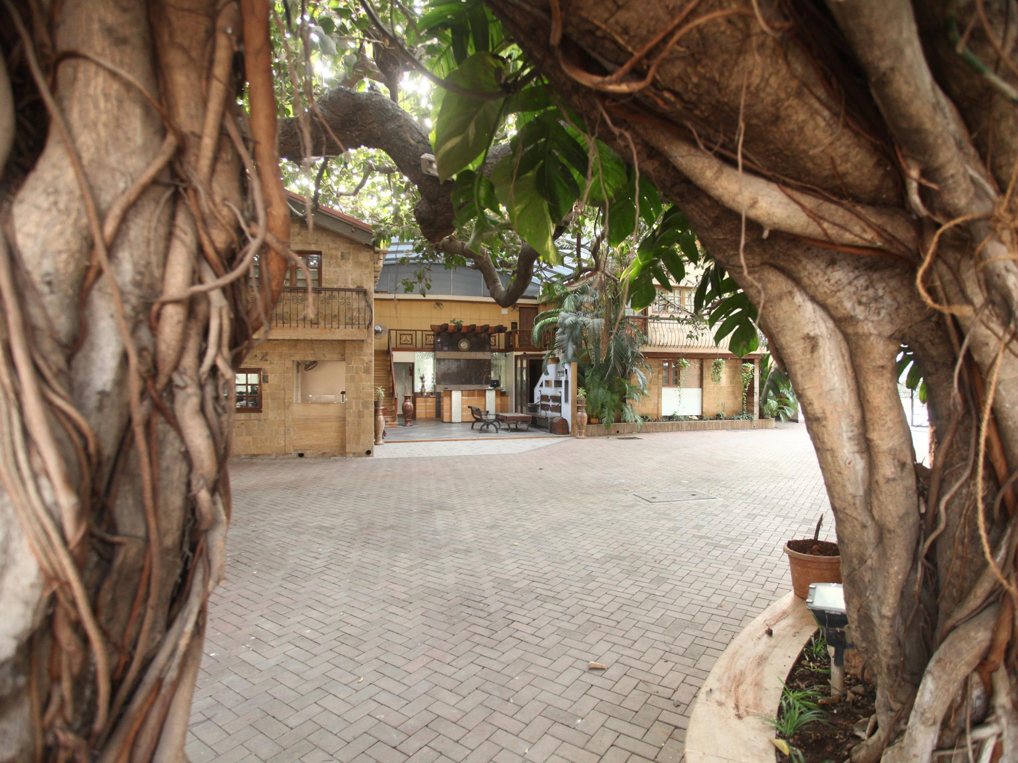 Фото Hotel Beach Garden