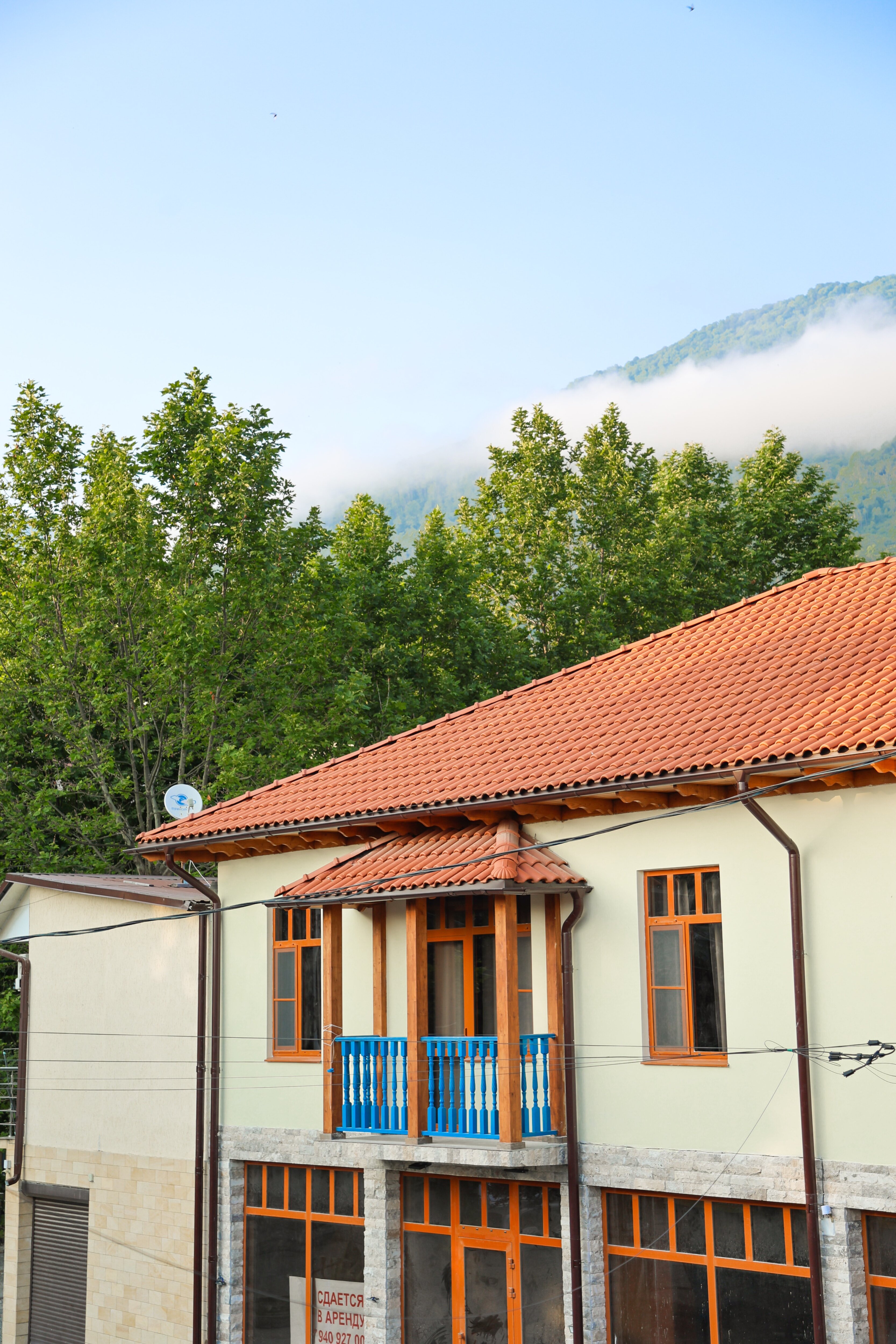 Фото Сабина