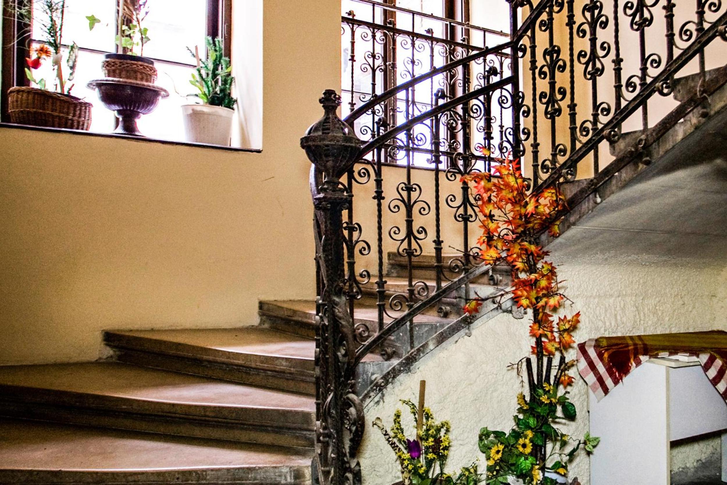 Фото Corvin Point Rooms and Apartments