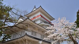 Гостиница Akita Castle Hotel