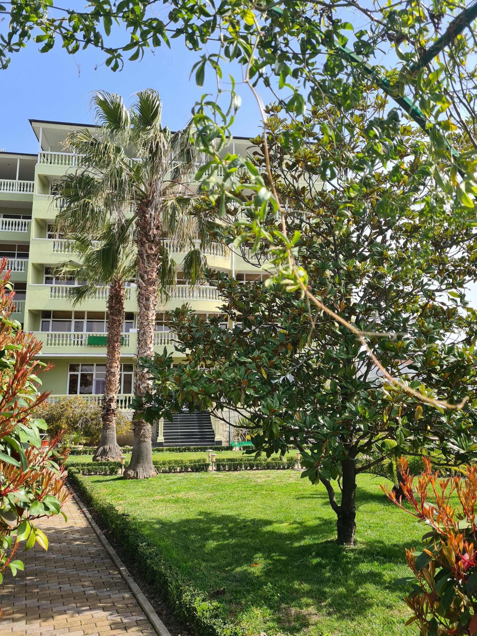 Фото Грин Хаус