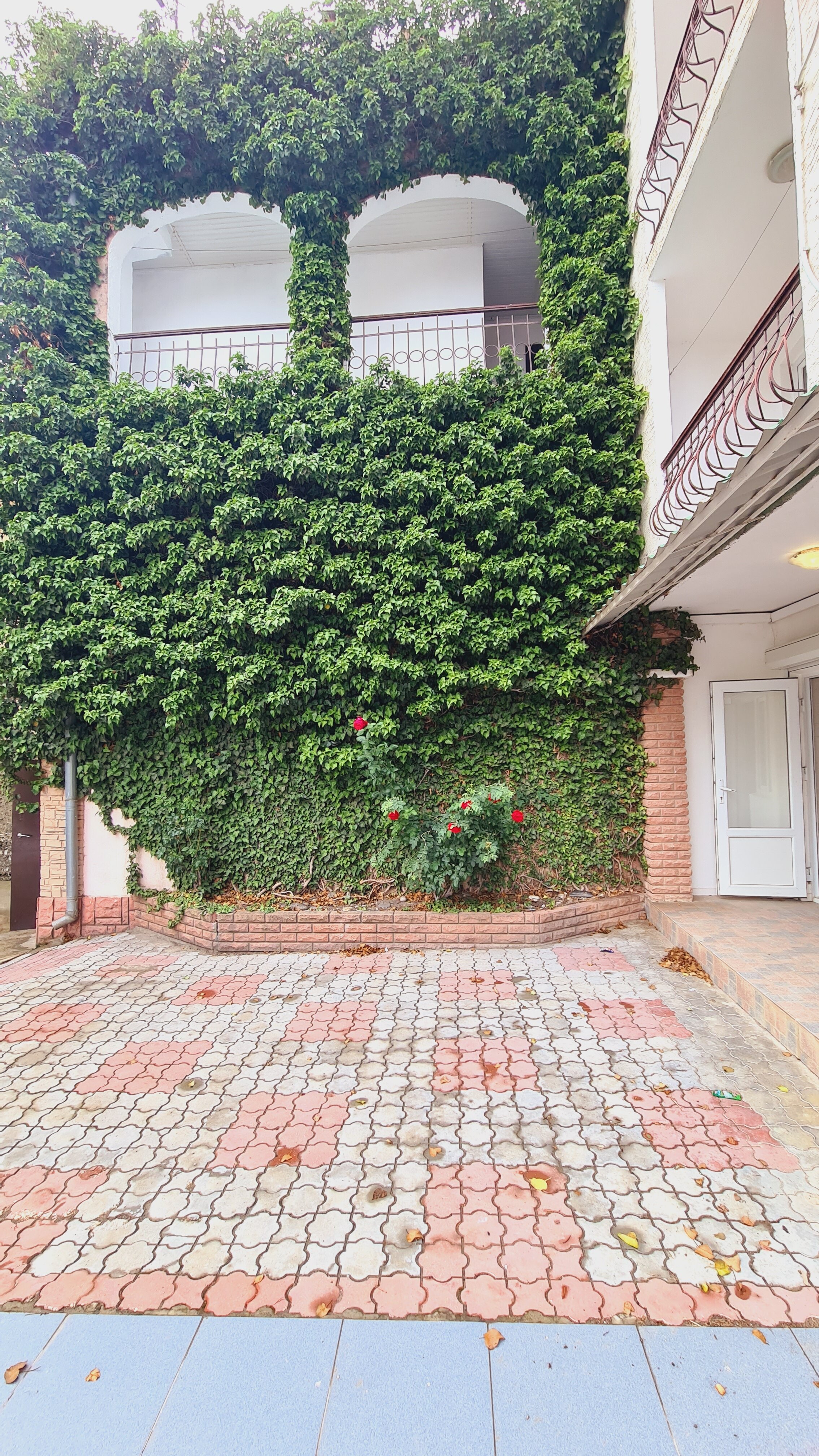 Фото Первая Линия