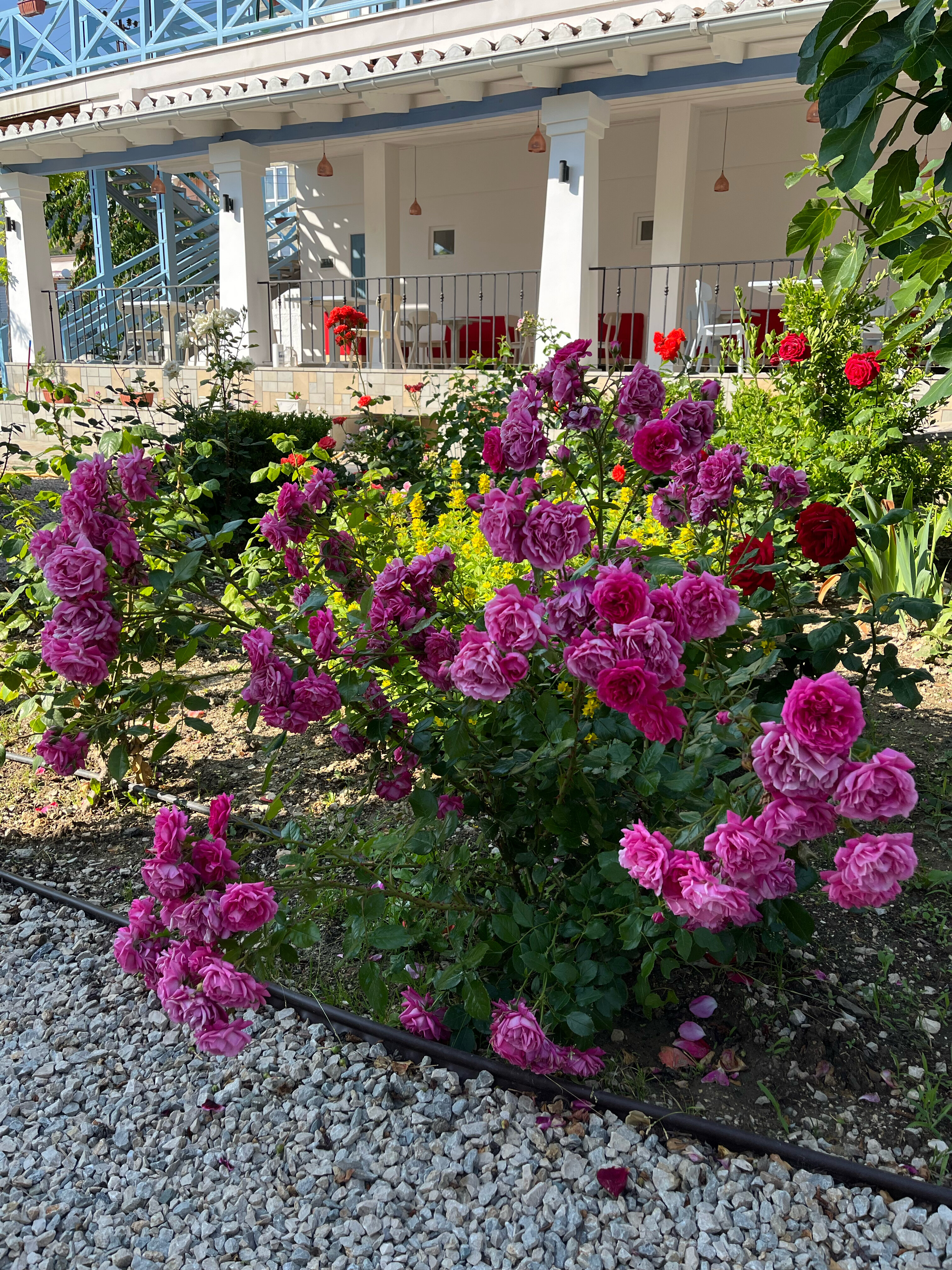 Фото Родина