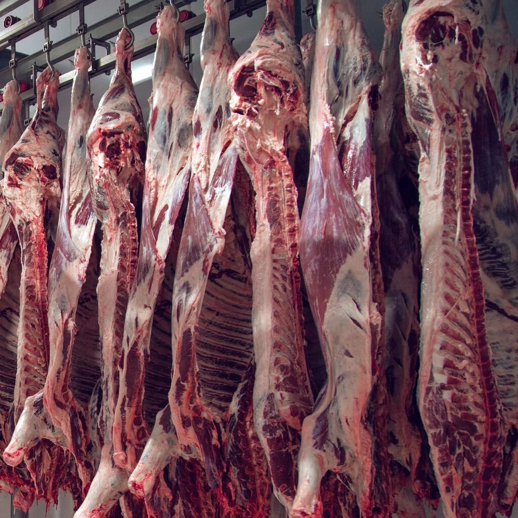 Intensive animal farming Ministers Meat - Integrated Livestock Facility, Incesu, photo
