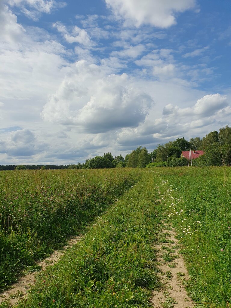 Mountain peak Monts de la Lékéti 1000 meters, Earth, photo