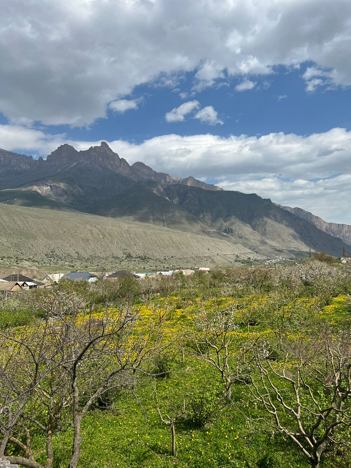 Фото Balkaria House