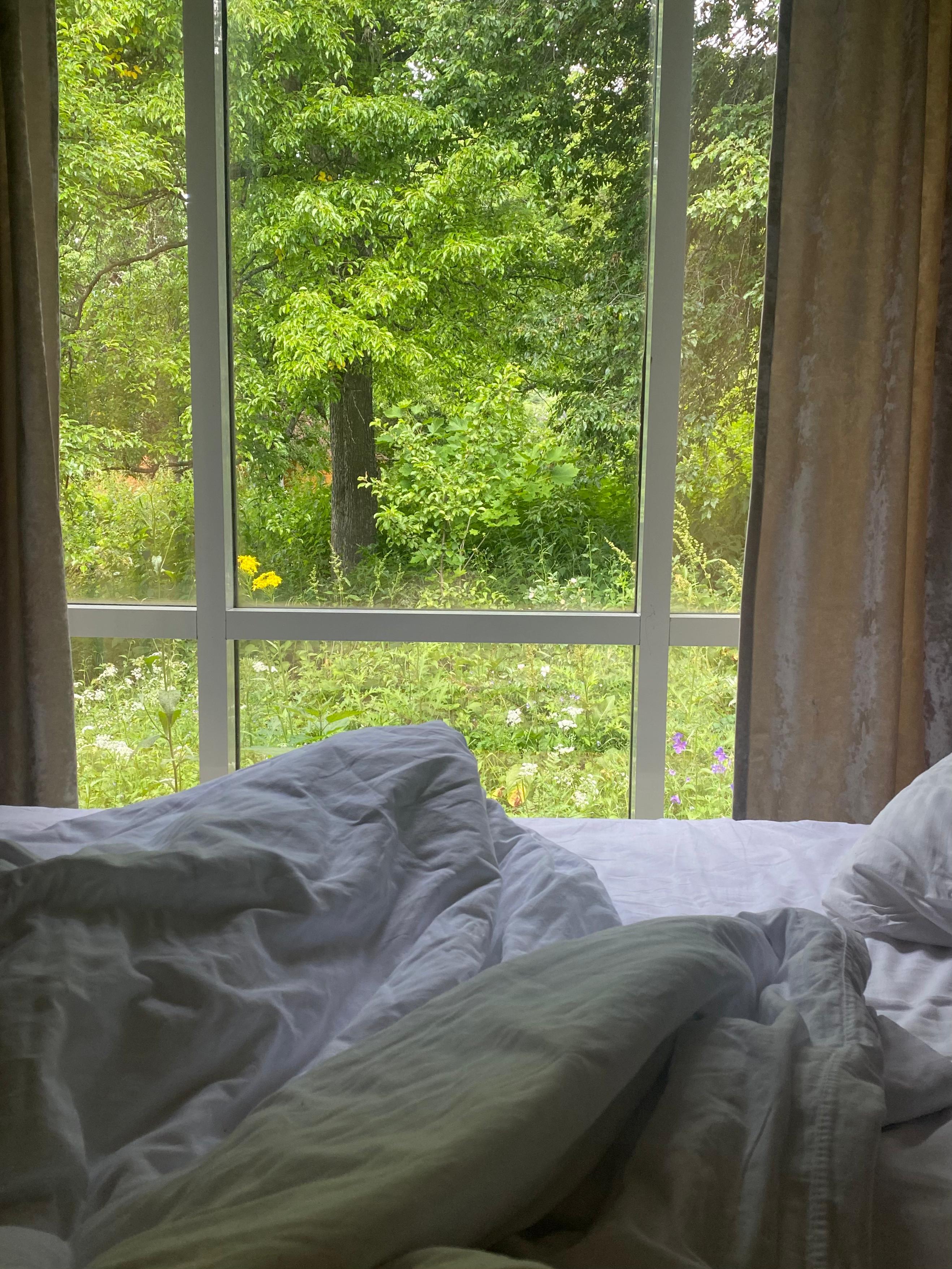 Фото Тишина