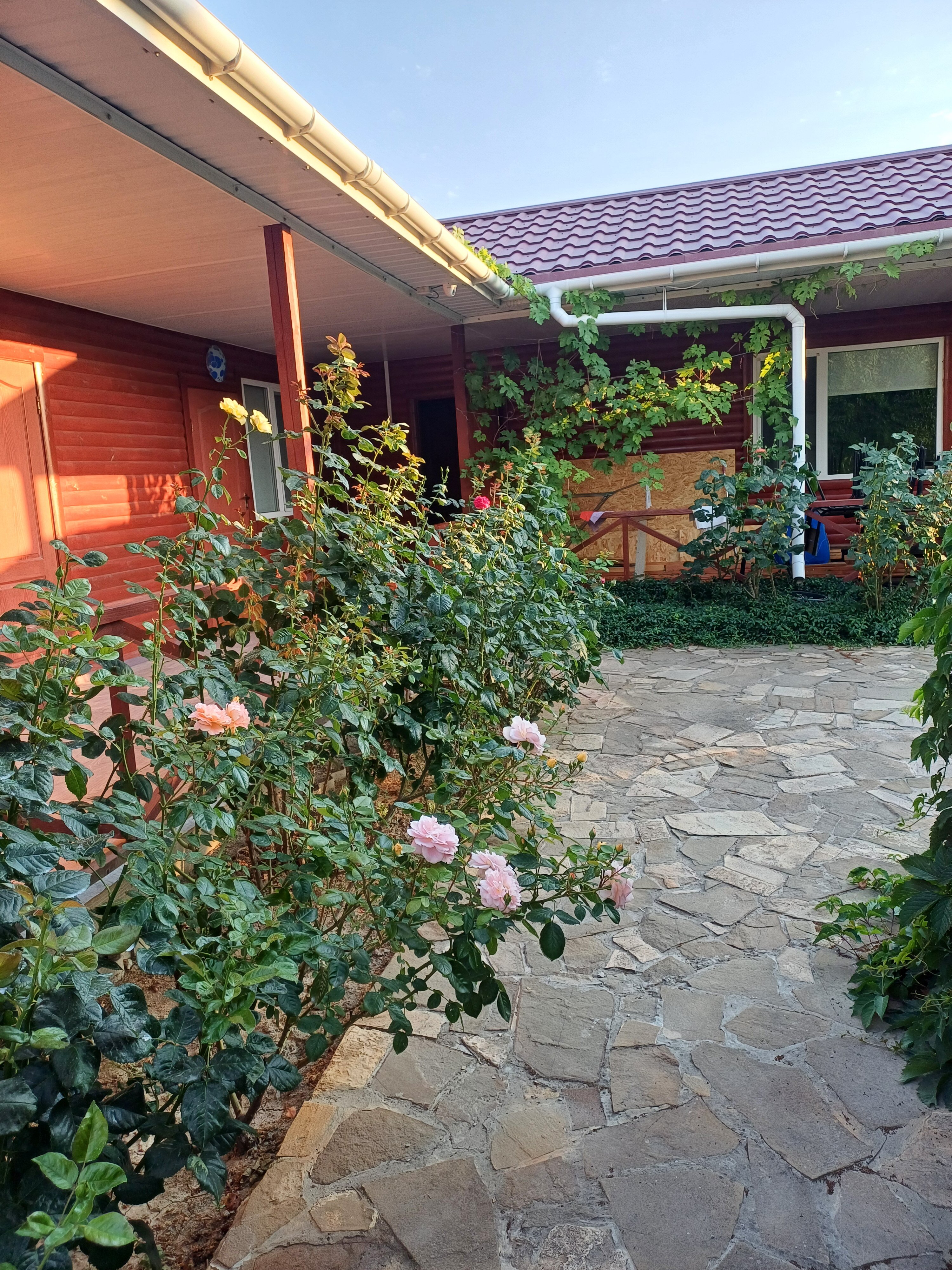 Фото Лето на Заречной