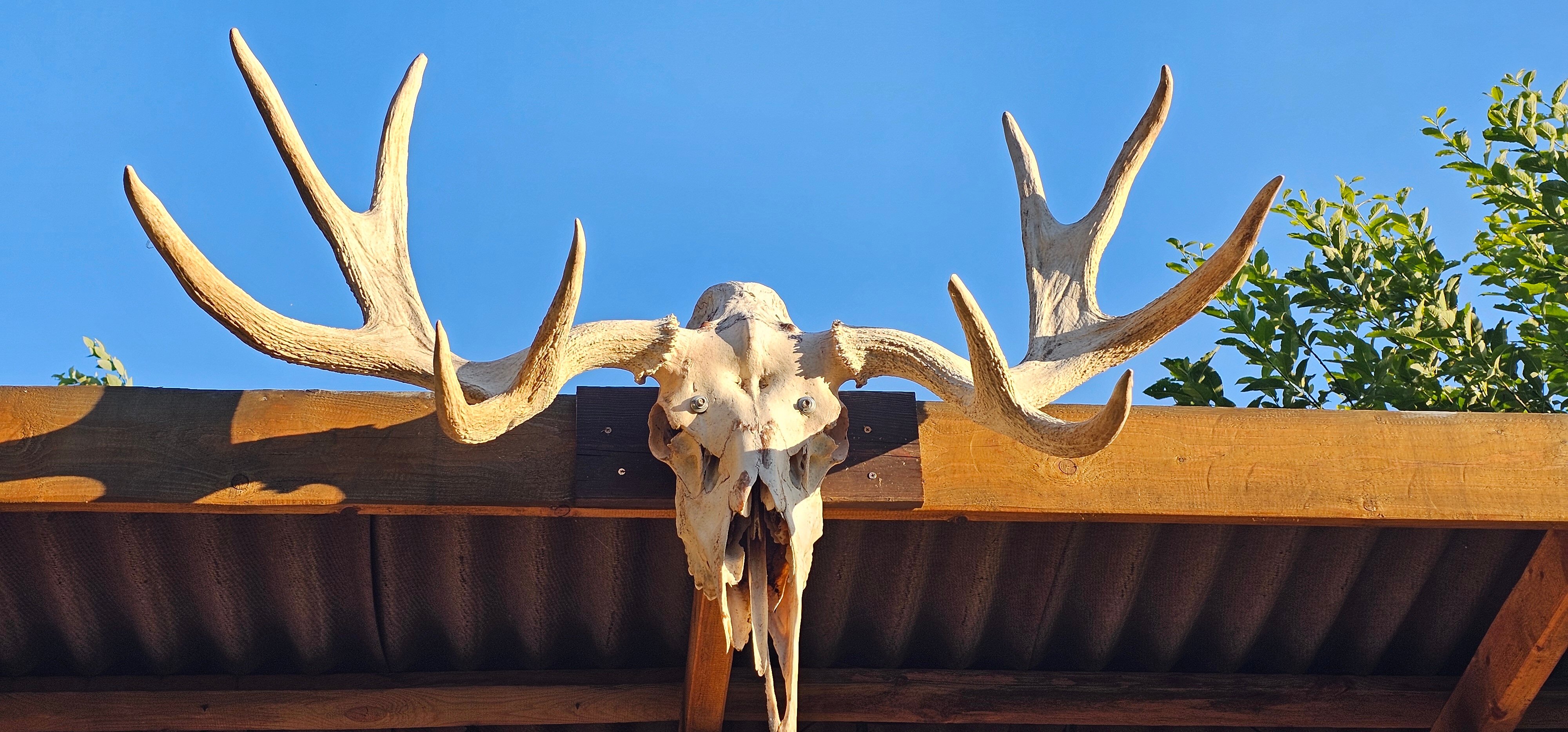 Фото Уральская горка