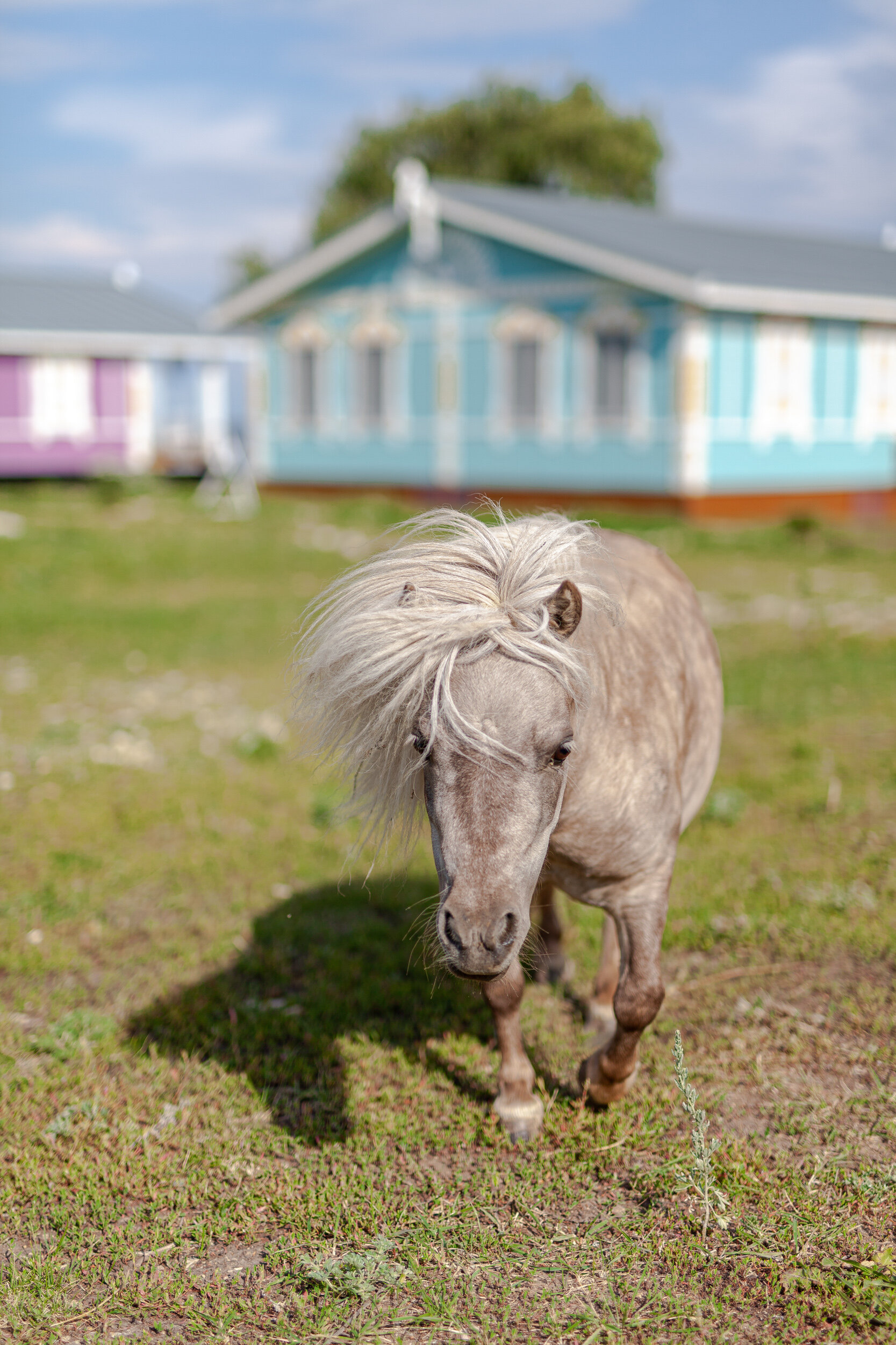 Фото Хвалынская усадьба