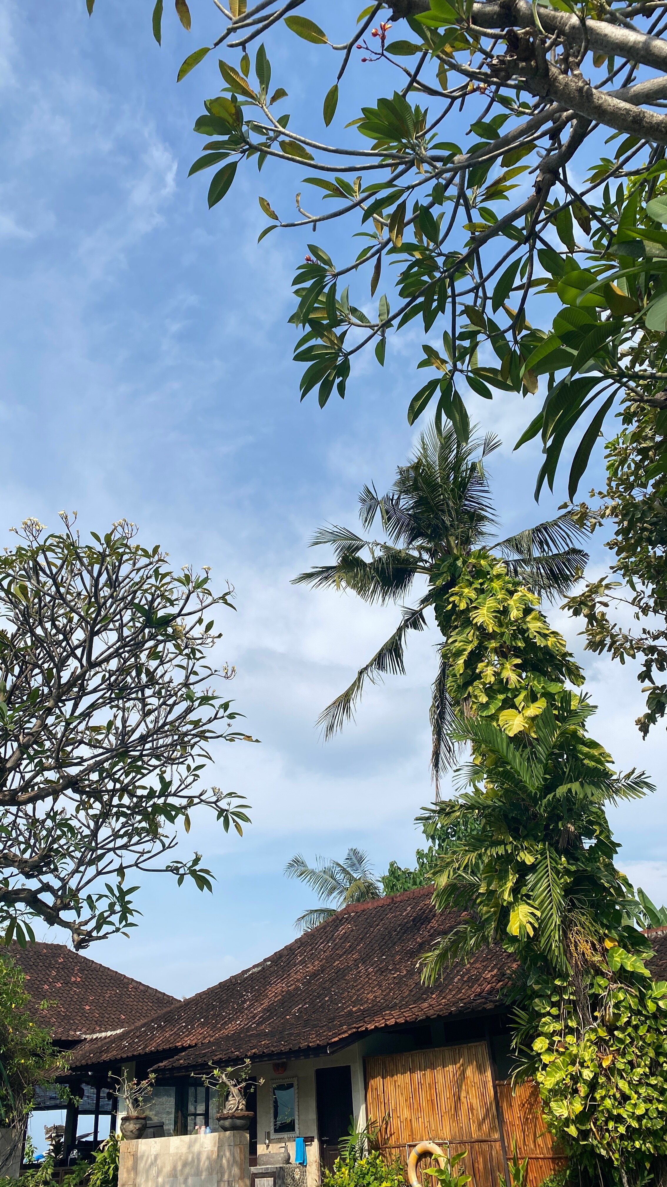 Фото Coral View Villas