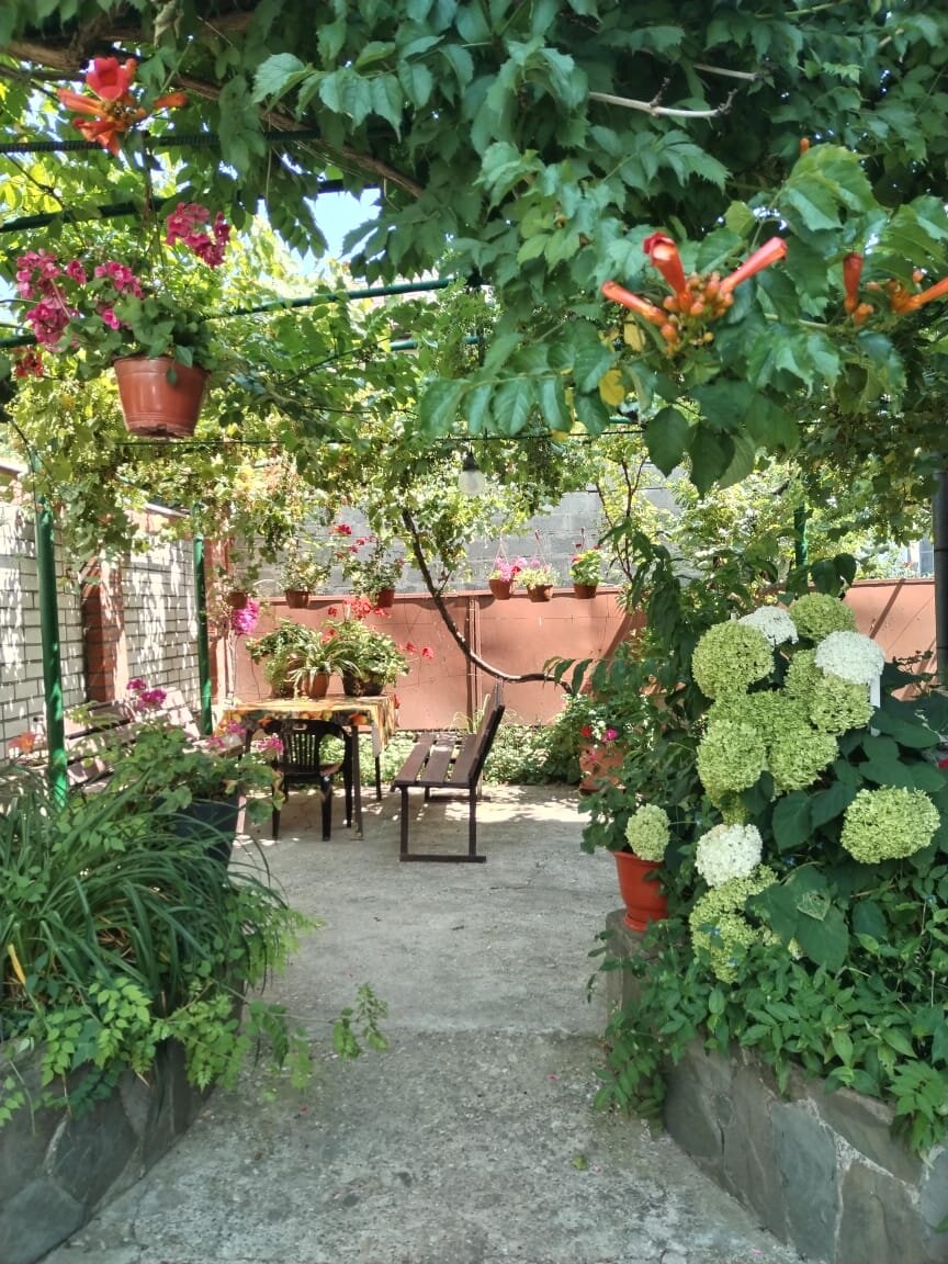 Фото Абрикос