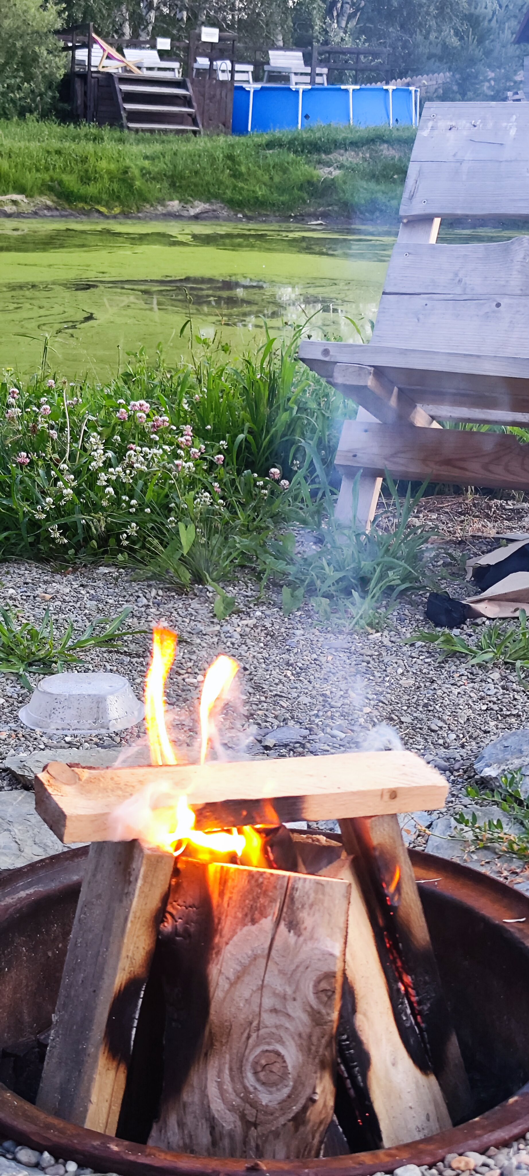 Фото Медная Сова