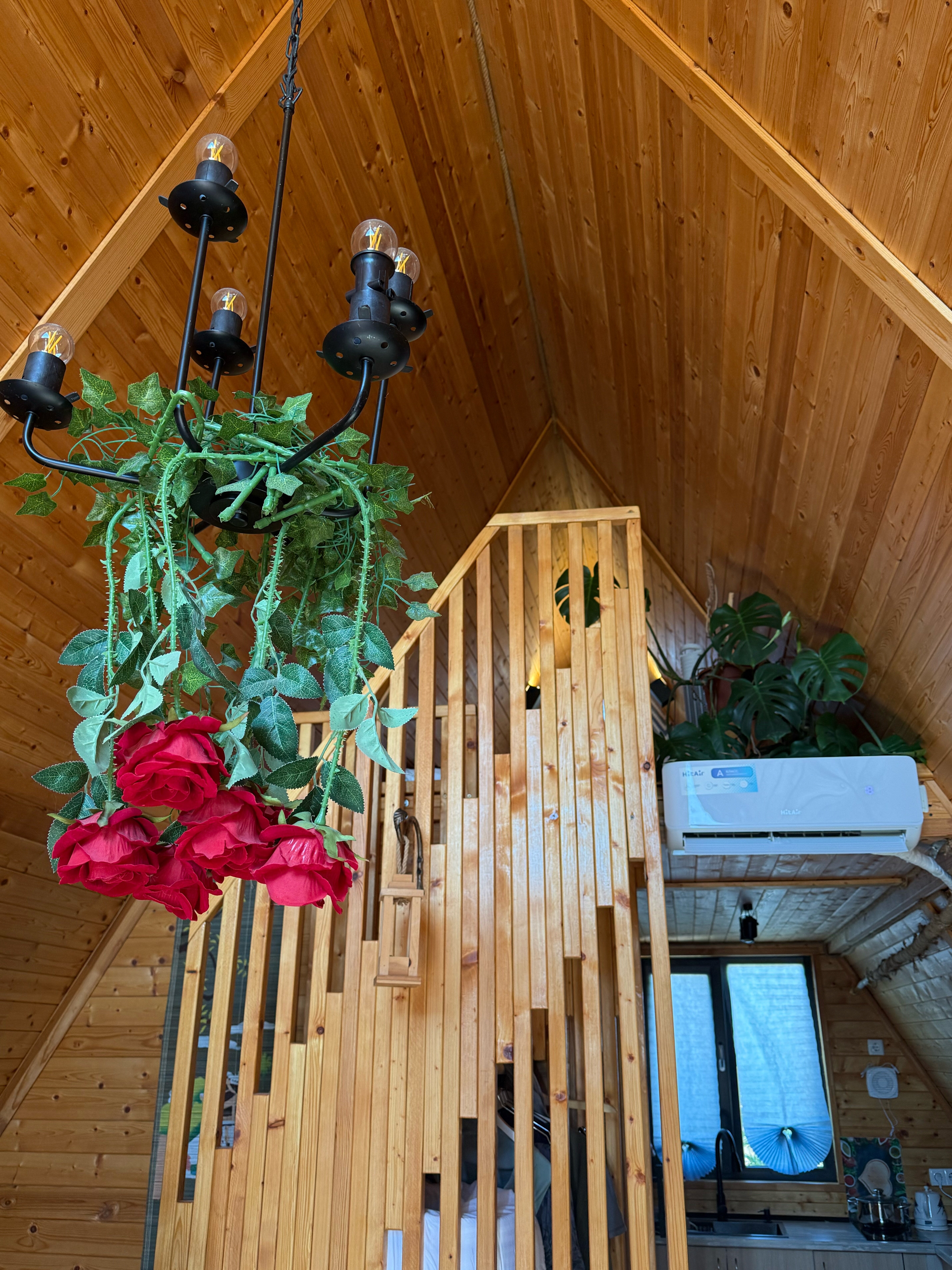 Фото NelManHouse