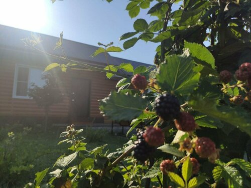 Дом в аренду Уют и Тепло в Вервековке