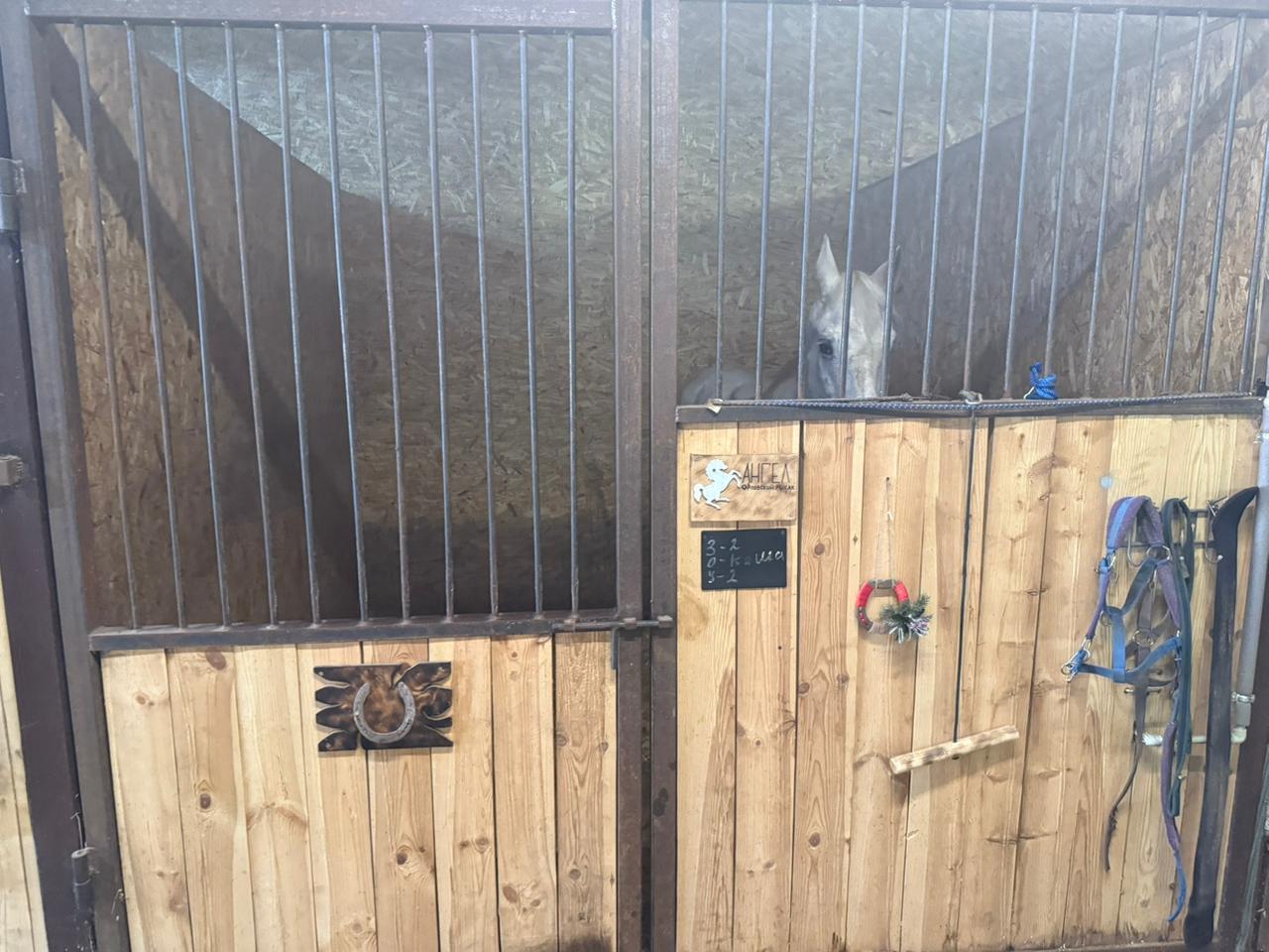 Фото Экстримлэнд