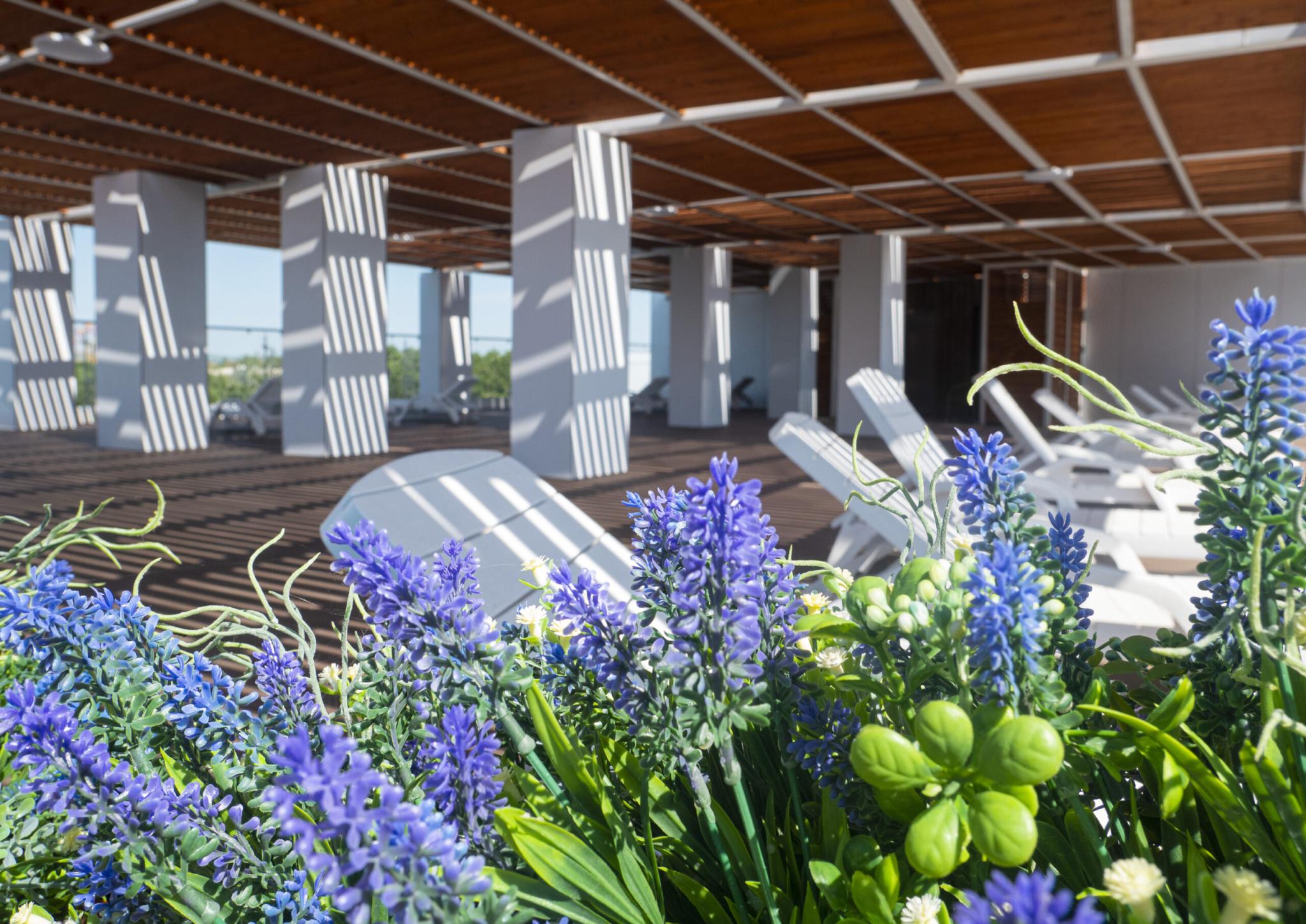 Фото Volleygrad Sports & Health Resort