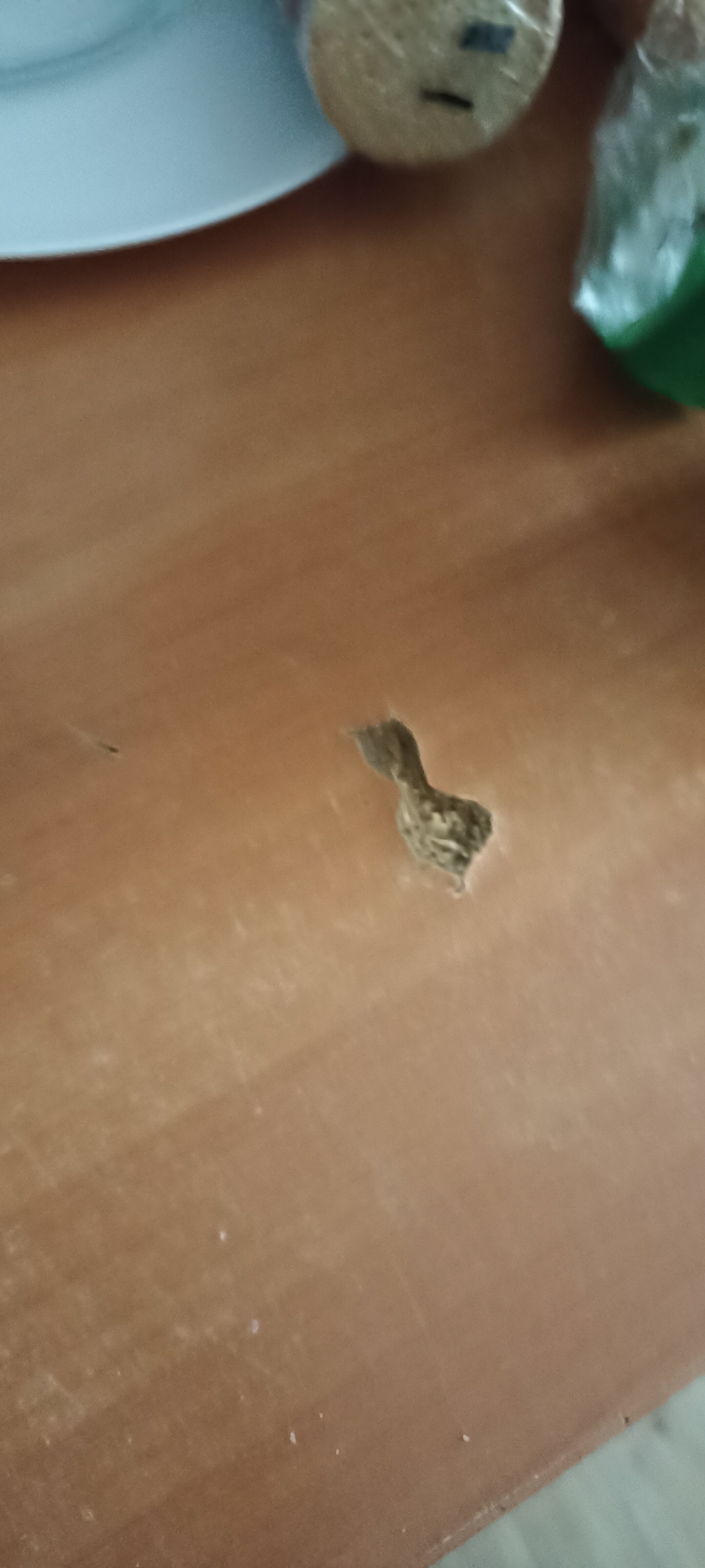 Фото Континент