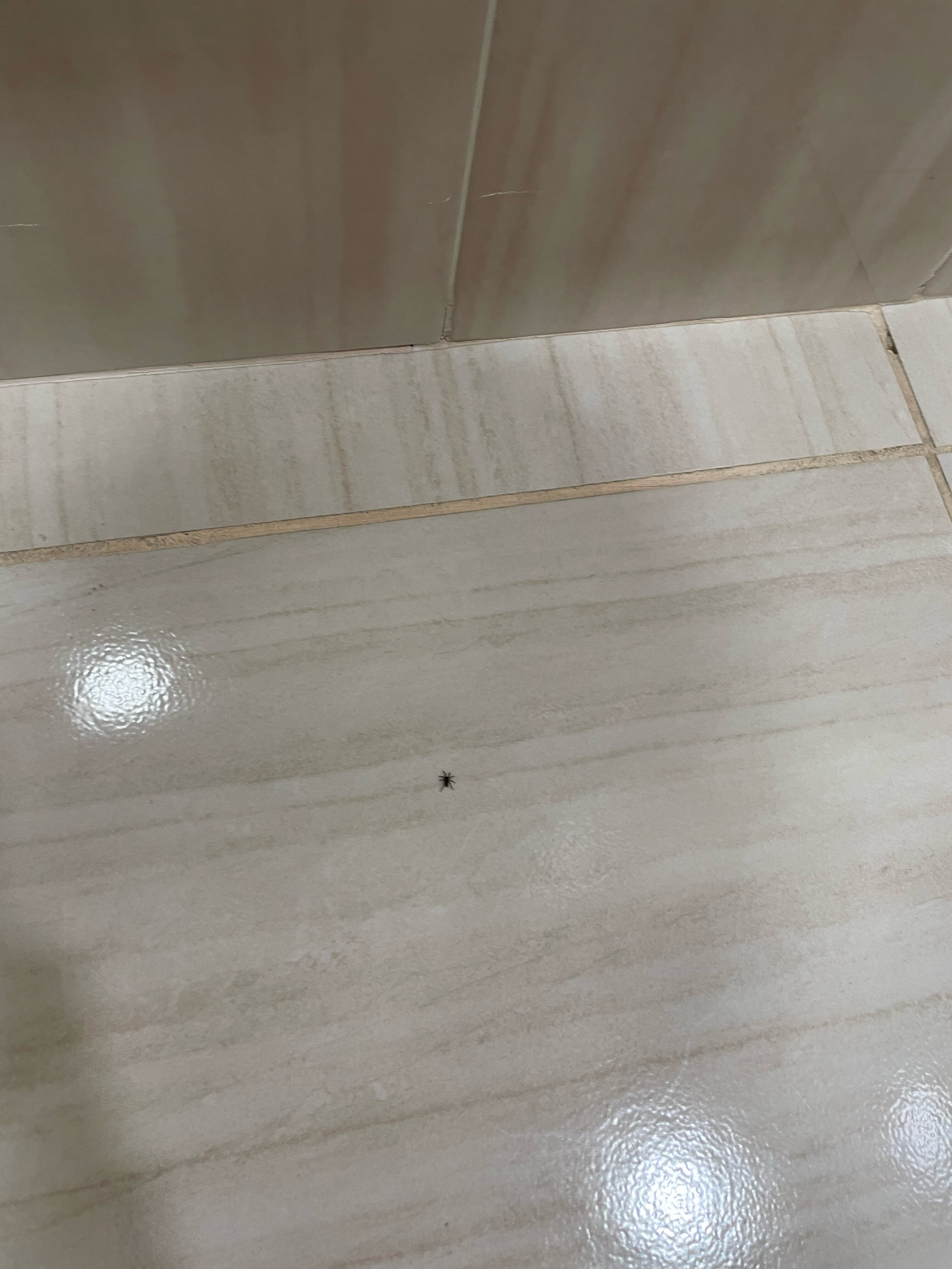 Фото Гостиница Нерча