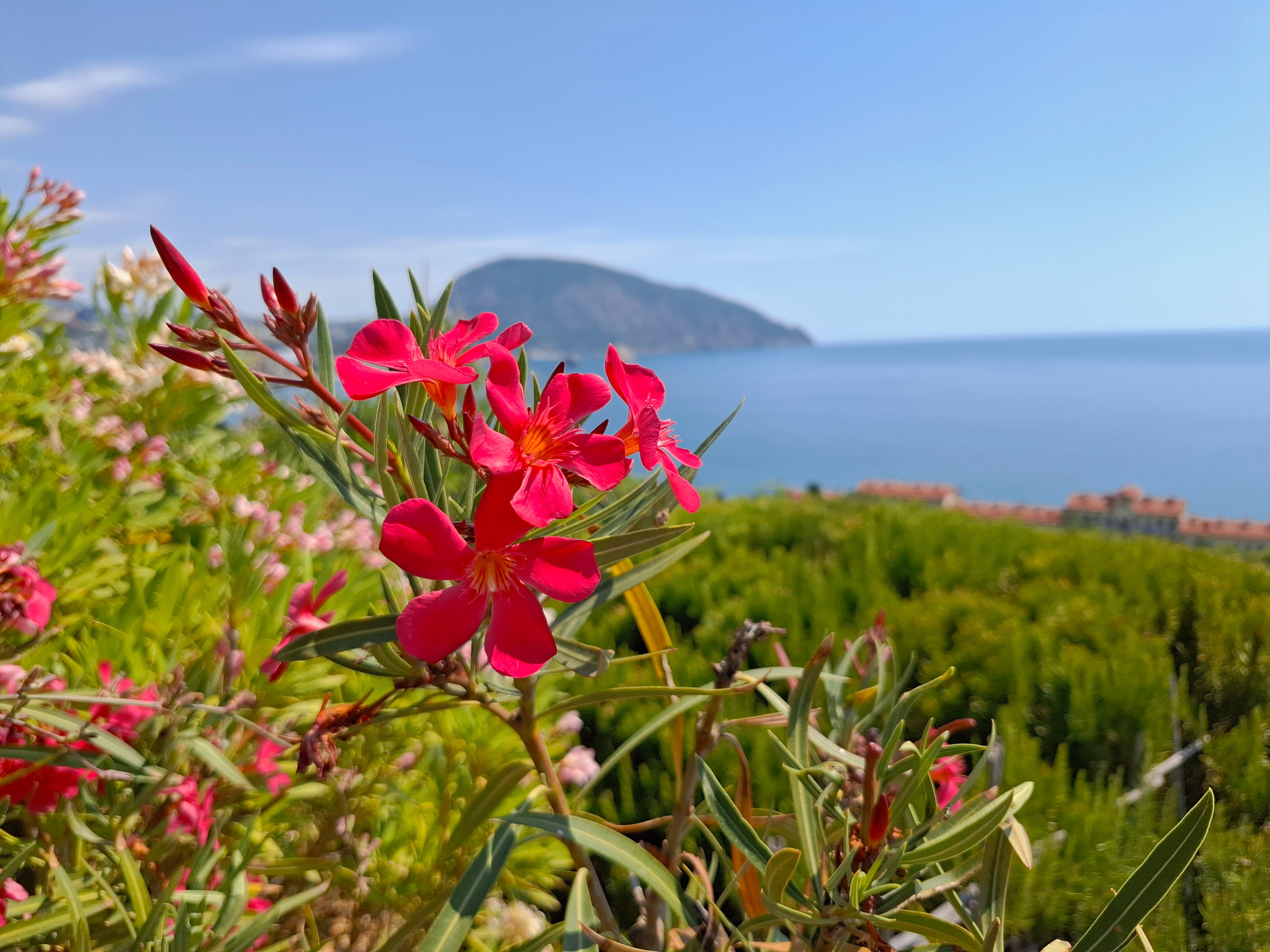 Фото Прилив