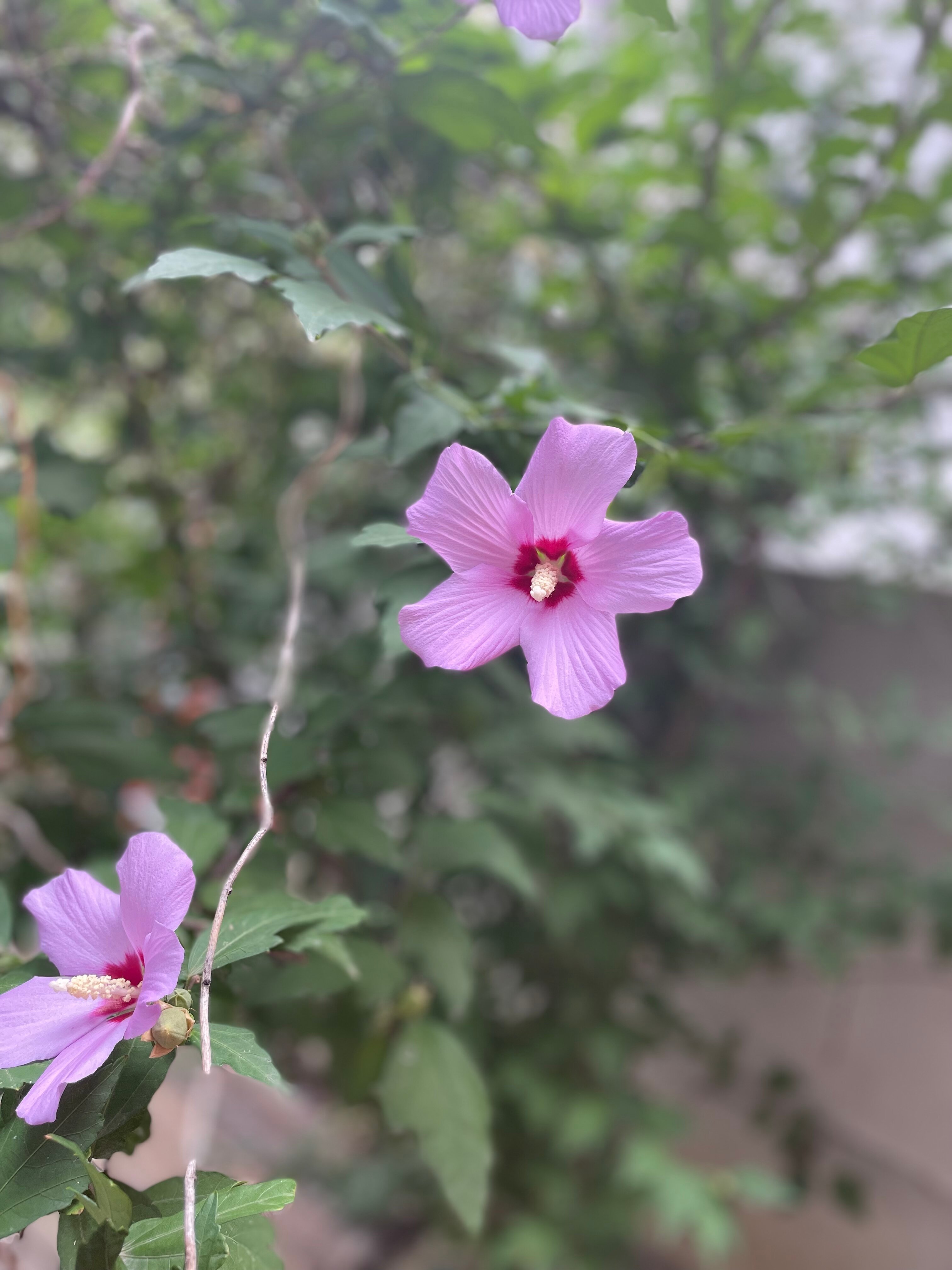 Фото Морские приключения