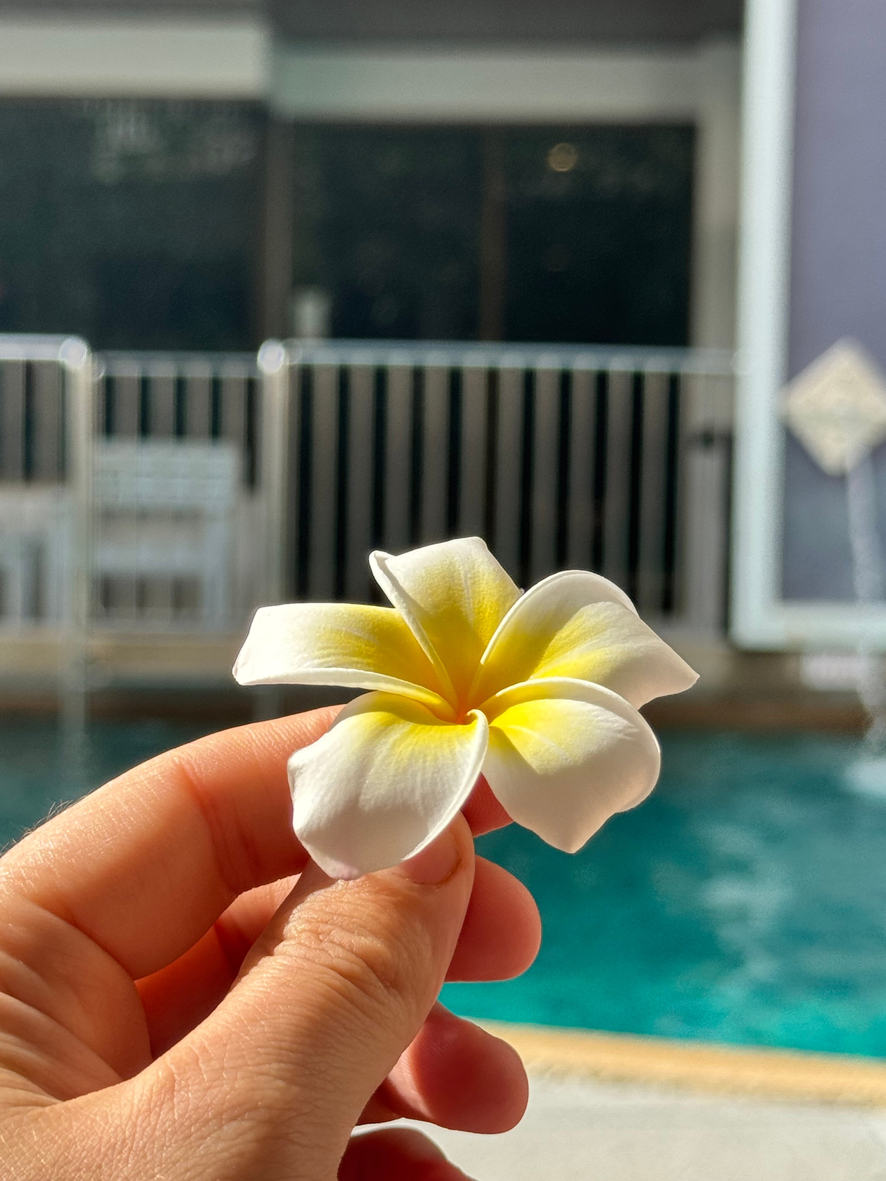 Фото Karon Sea Sands