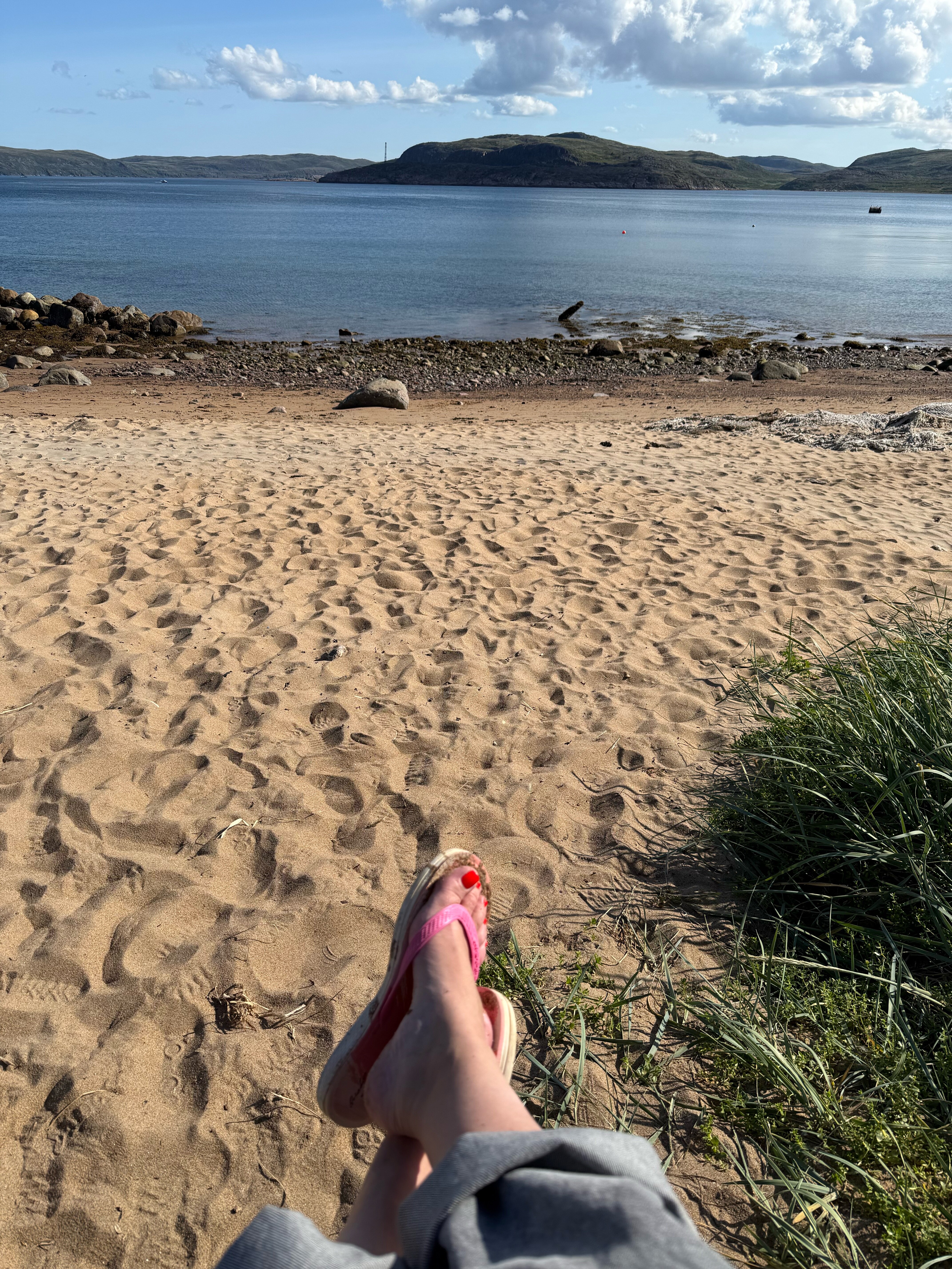 Фото Cedar Grass Териберка