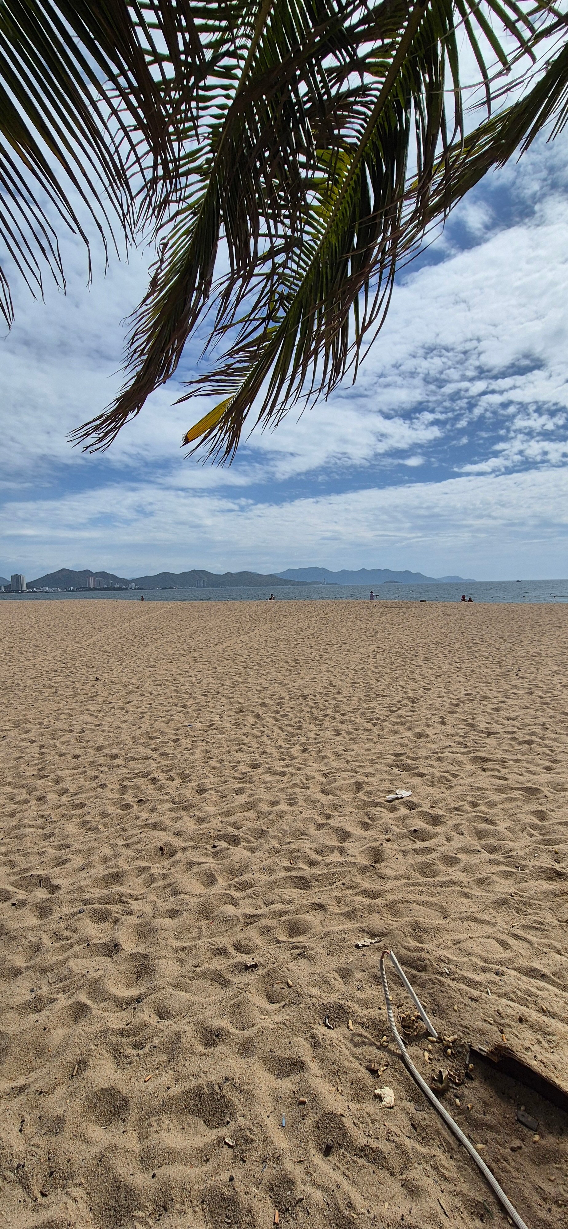 Фото Xavia Hotel