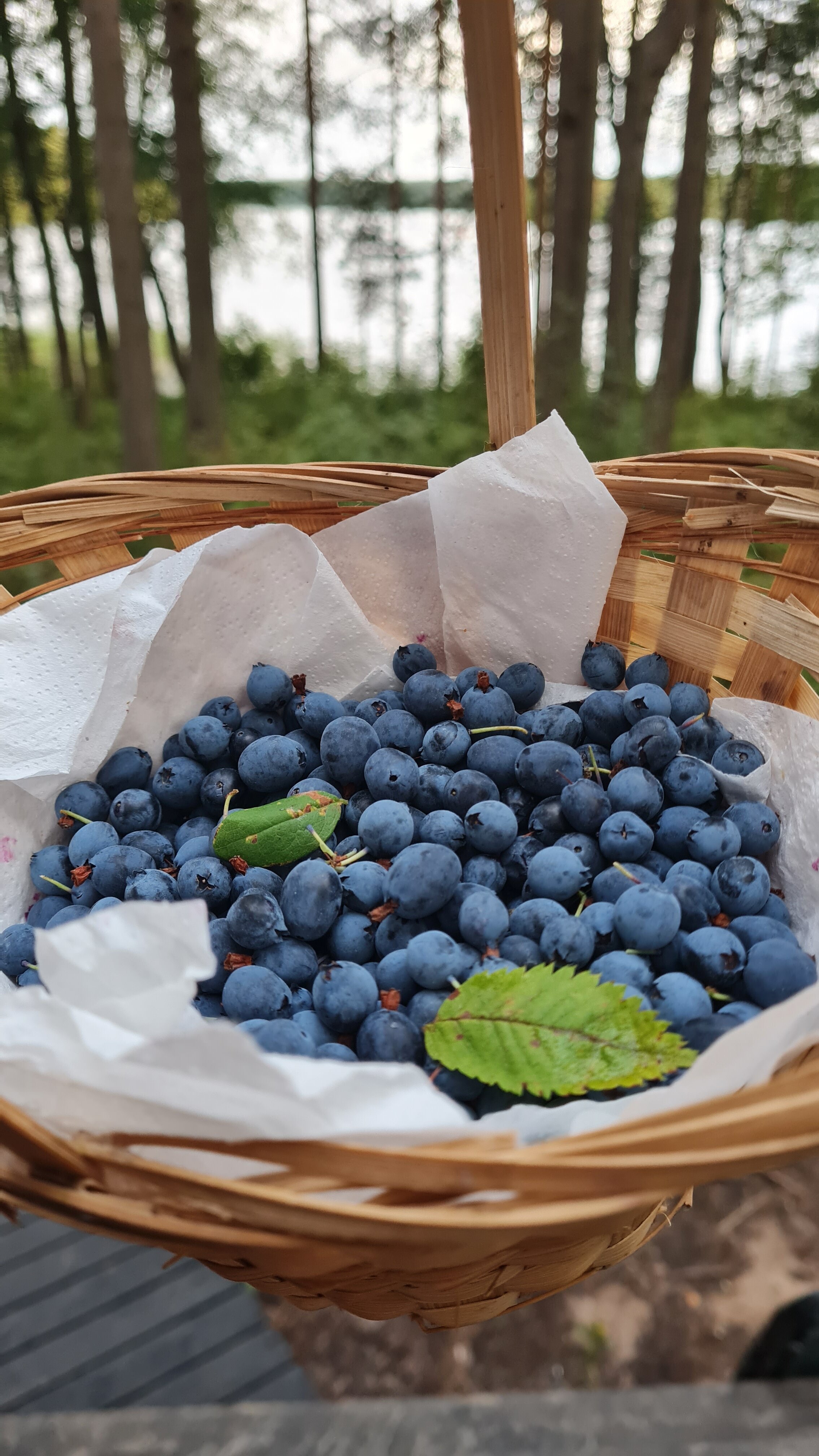 Фото Зеркальное СПА
