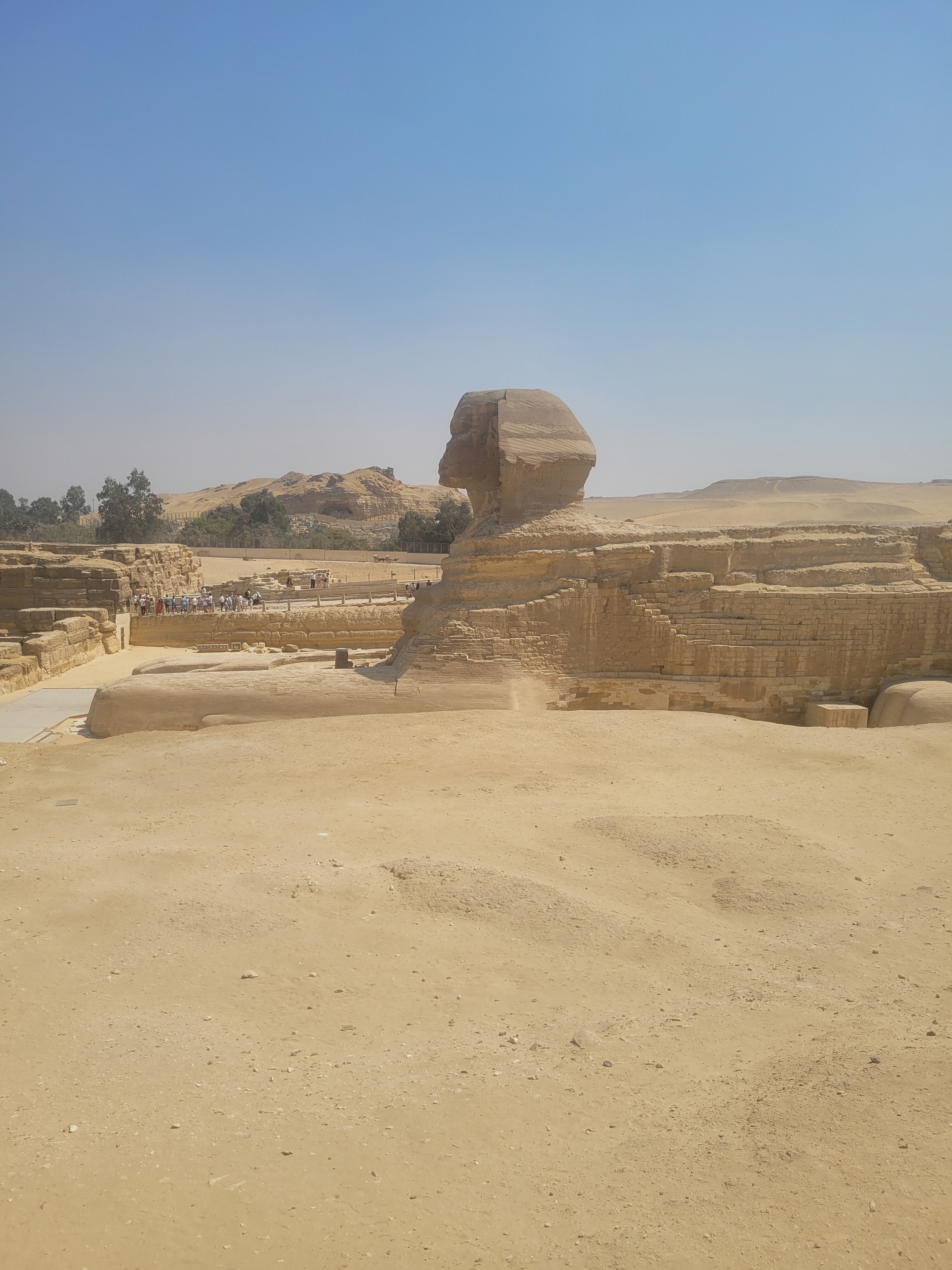 Фото Titanic Royal