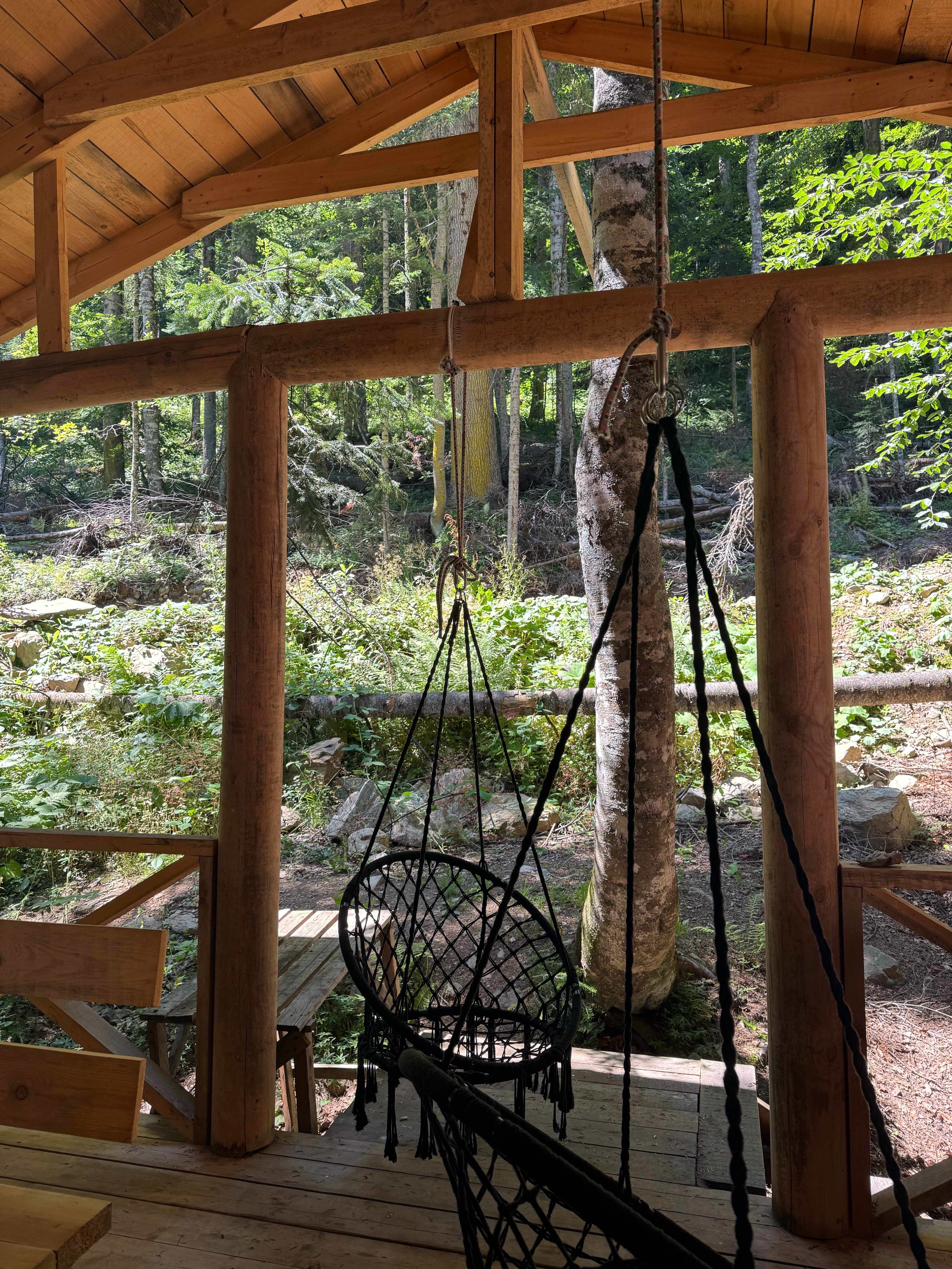 Фото Домик в лесу