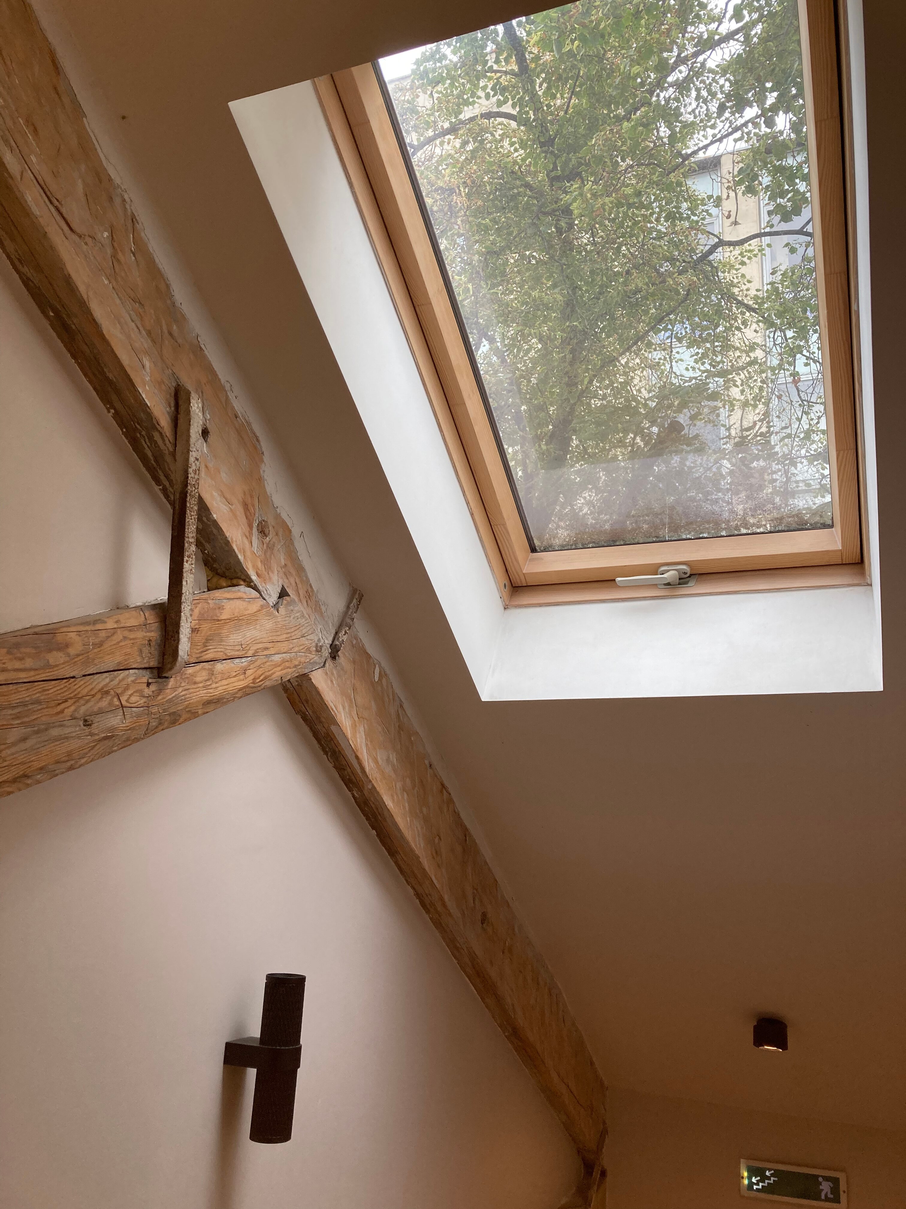 Фото Гнёздышко