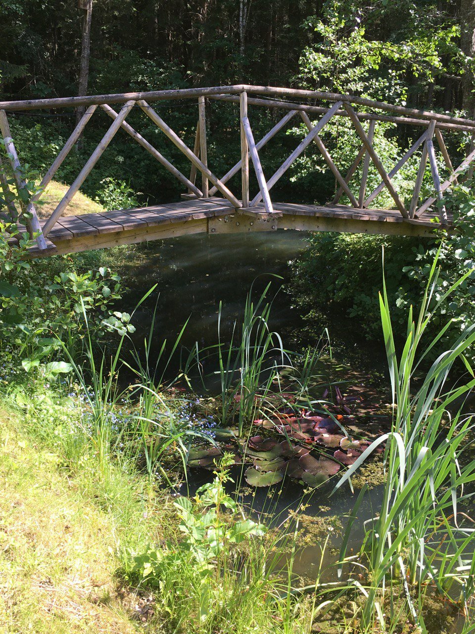 Фото Хутор Комаришки