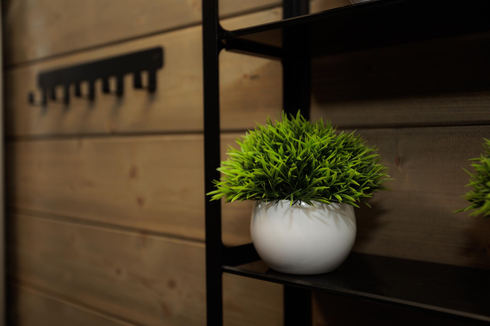 Фото Четыре сезона