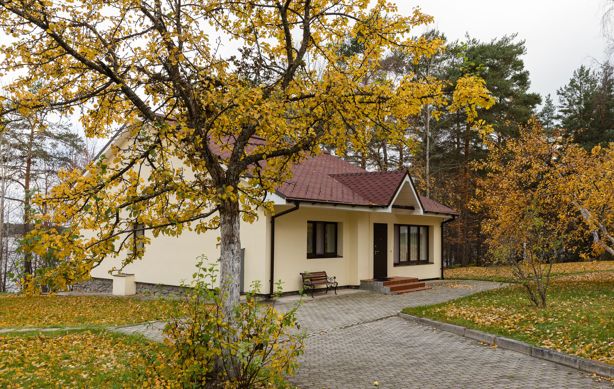 Фото Cosmos Karelia