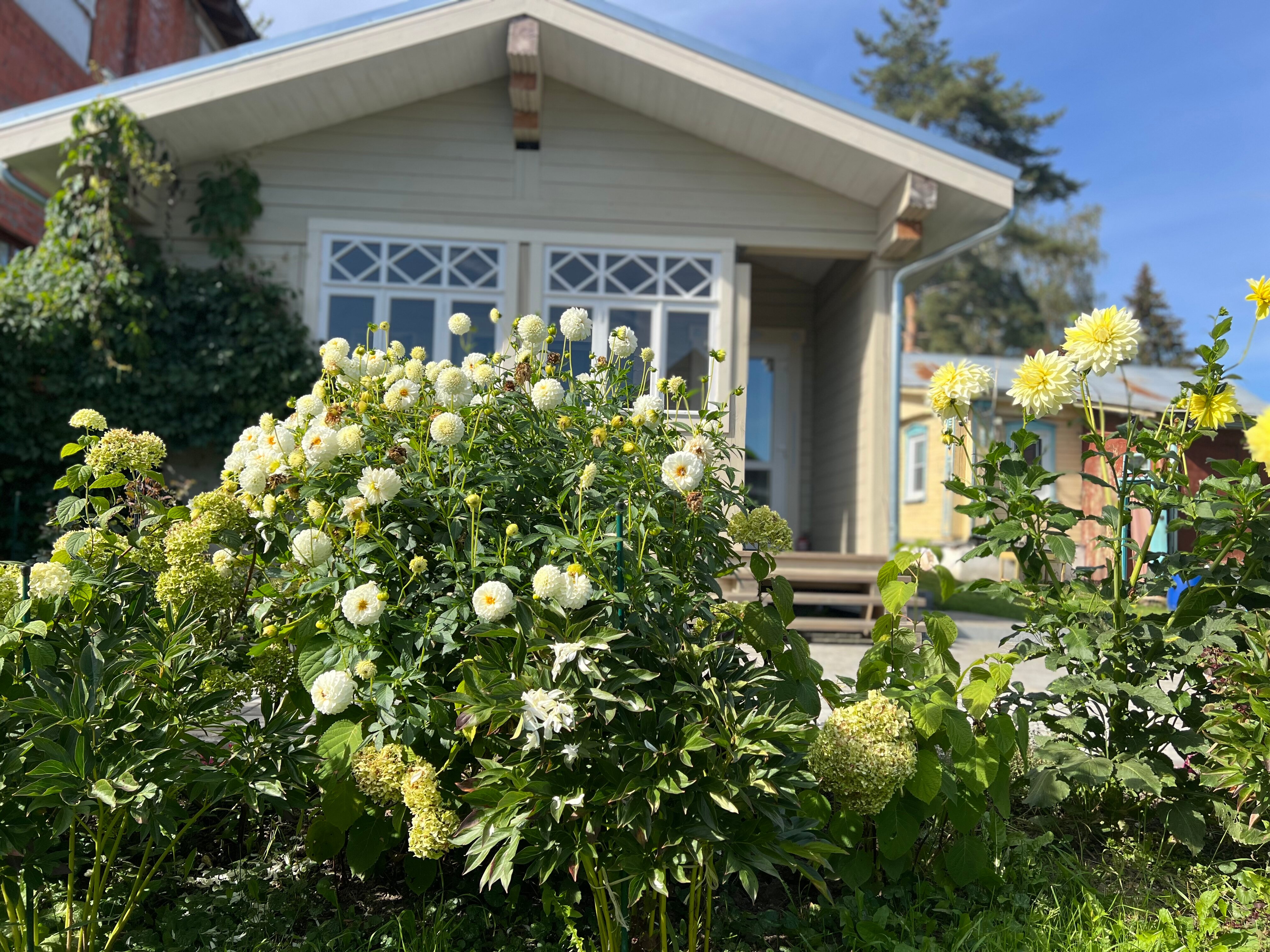 Фото СуздальСад