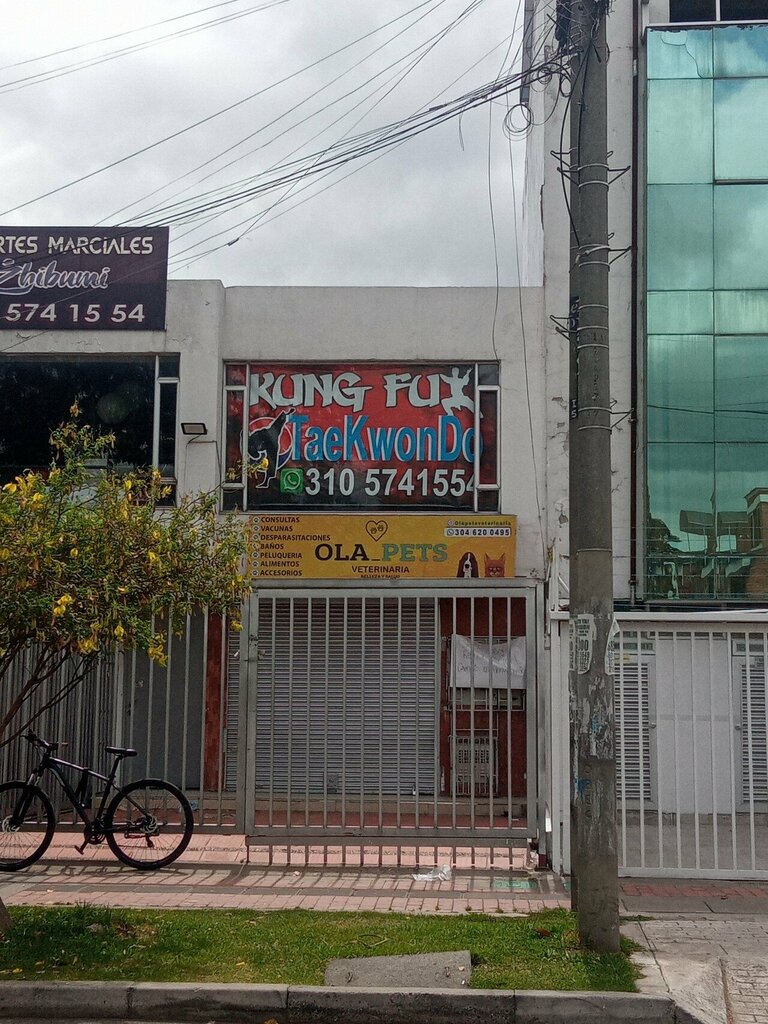Veterinary clinic Ola Pets, Bogota, photo